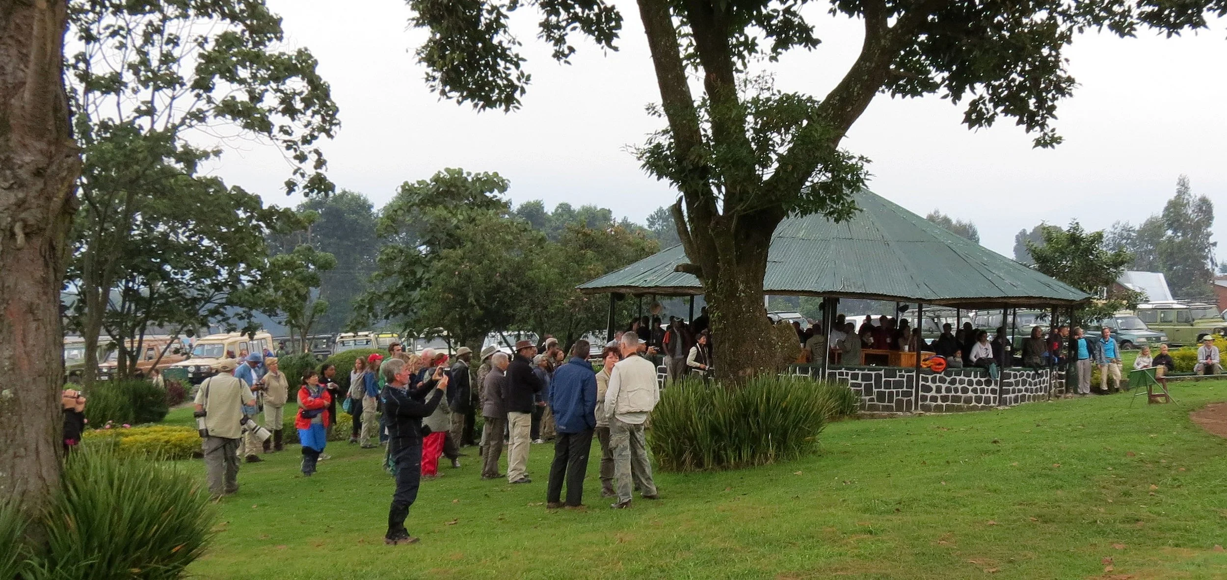 PARC DU VULCANS RWANDA (10).JPG