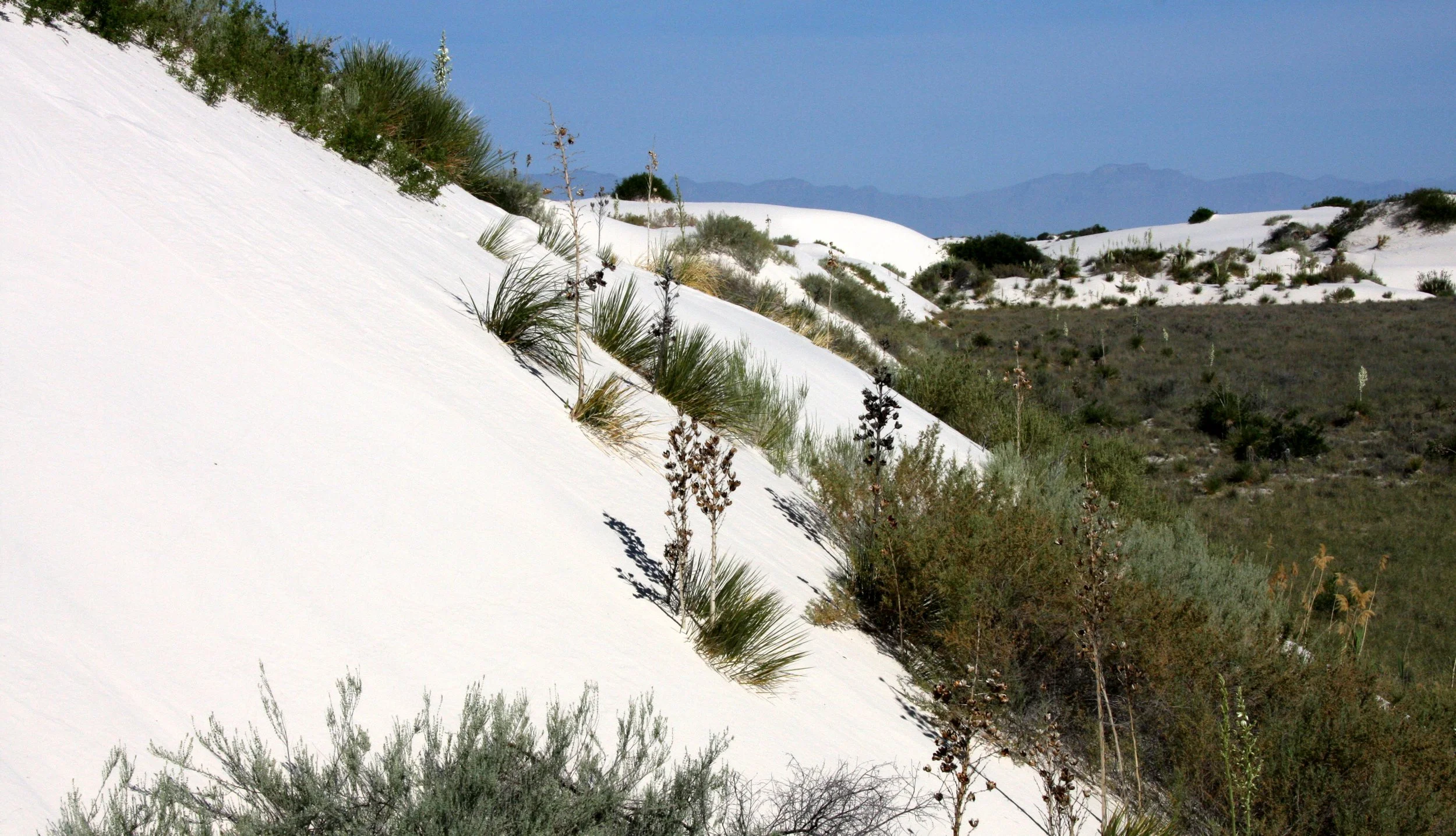 WHITE SANDS NATIONAL MONUMENT NEW MEXICO - VIEWS OF THE DUNES (10).JPG