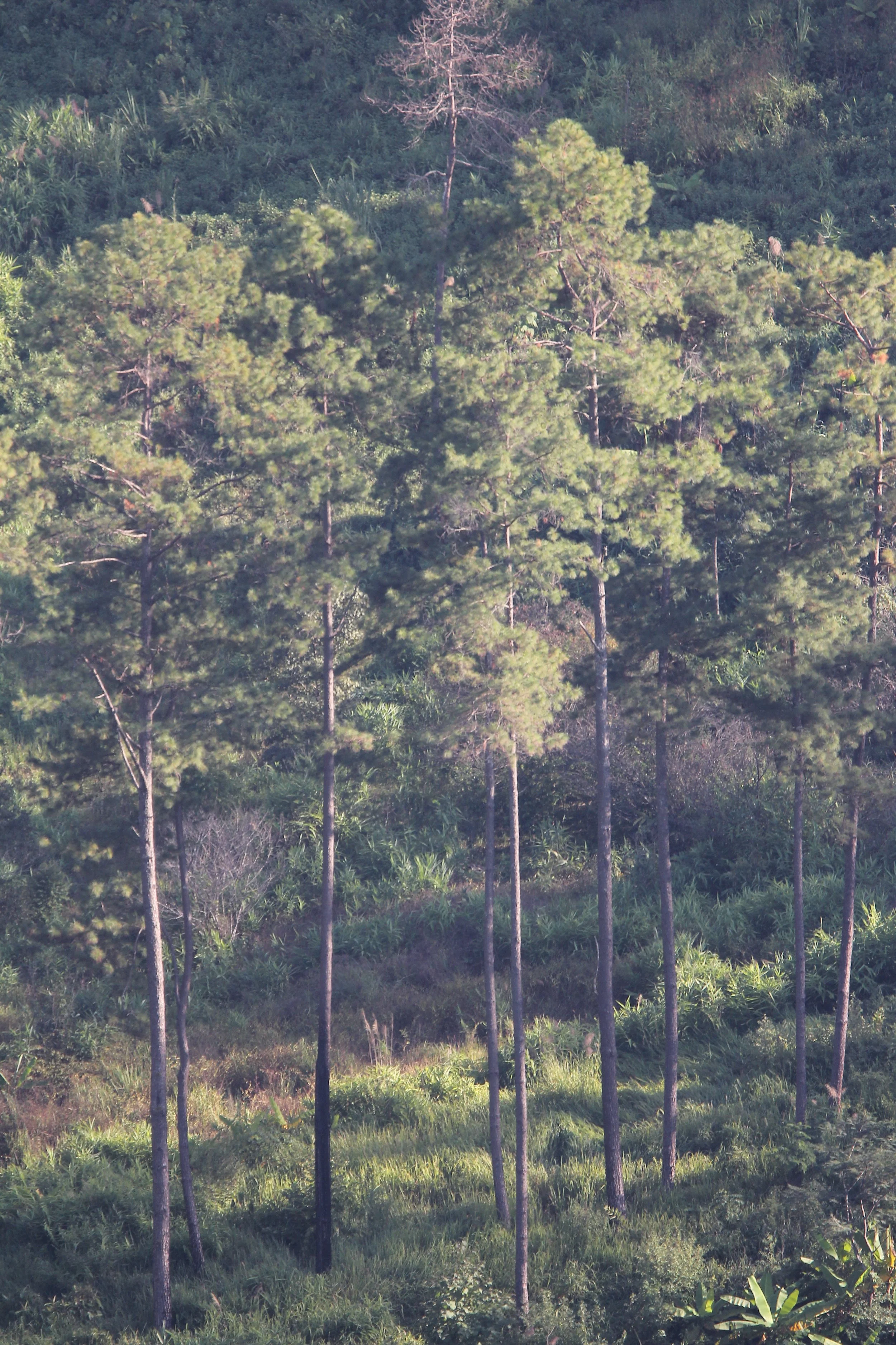 2019 Chiang Dao Road Trip (44).JPG