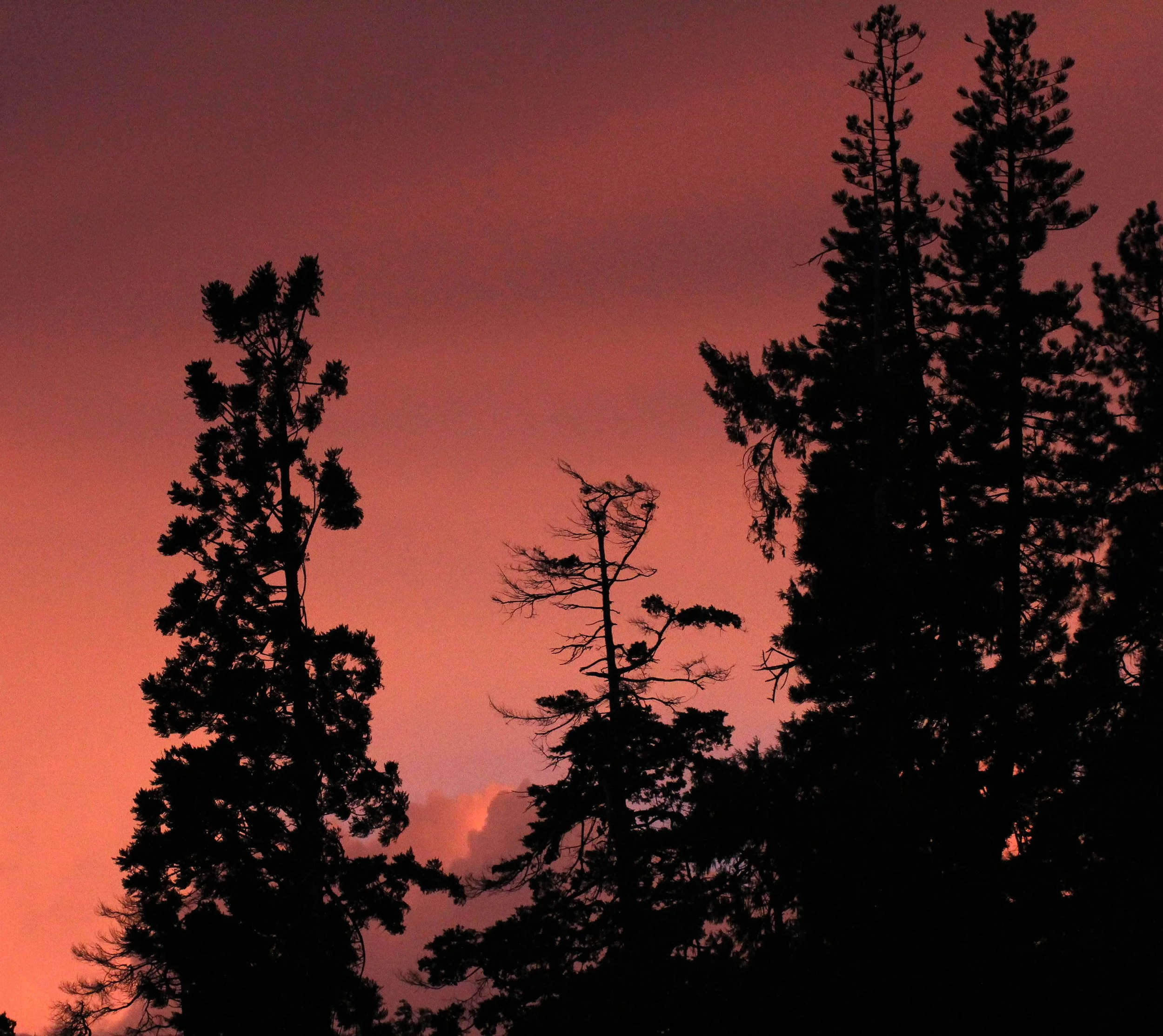 NUWARA ELIYA SRI LANKA (37).JPG