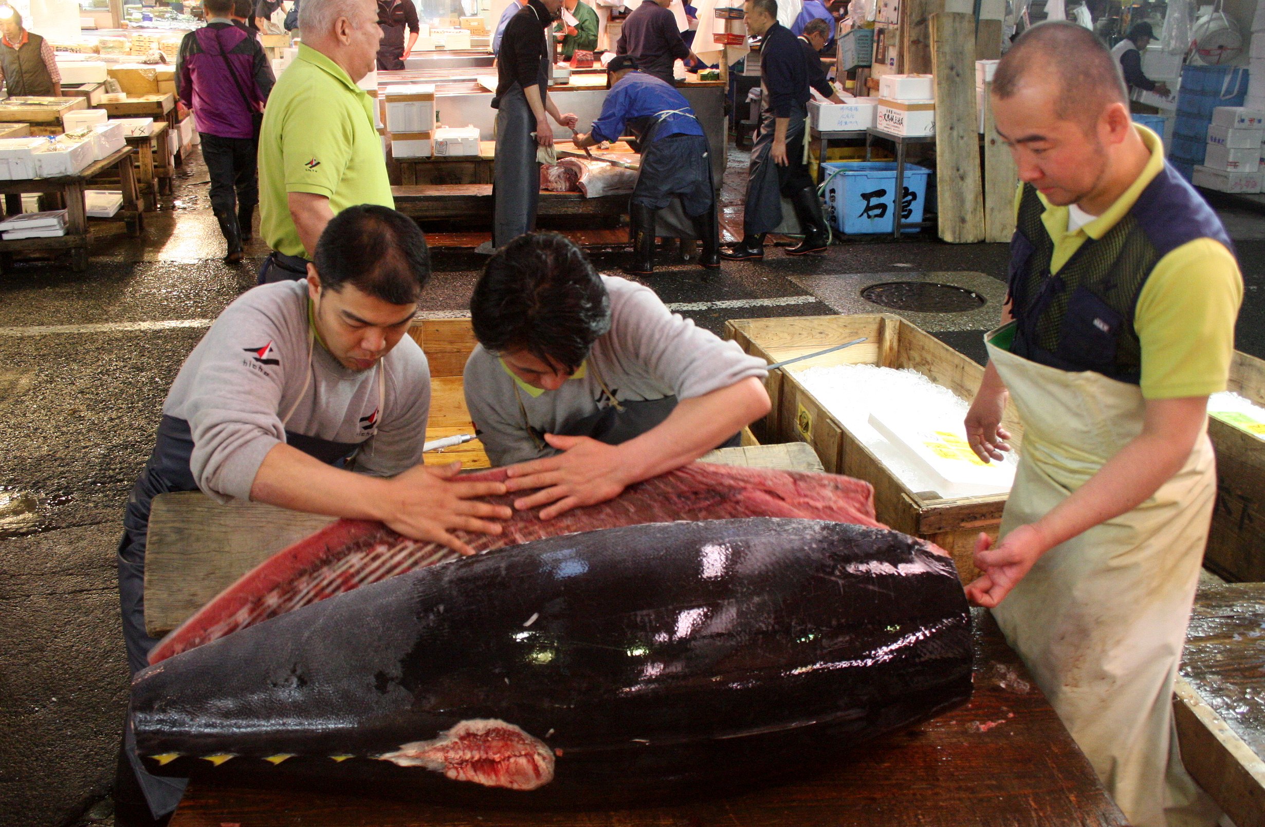 TOKYO - MAY 2009 - TSUKIJI MARKET (41).JPG