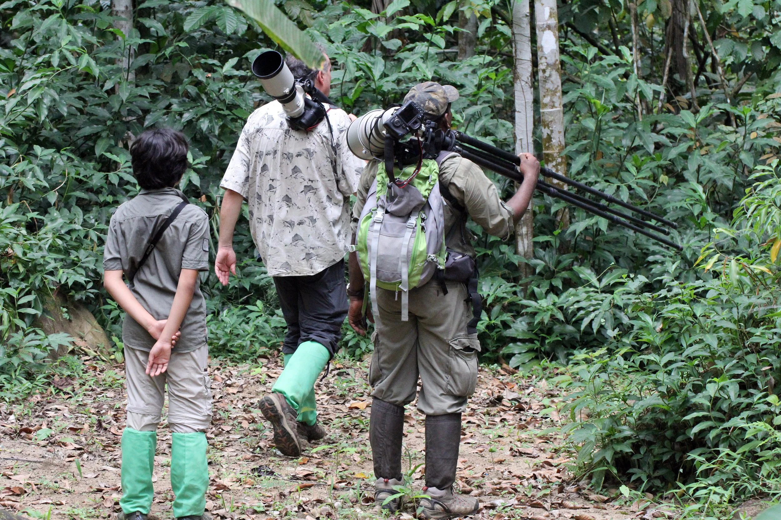 KITULGALA FOREST PRESERVE, SRI LANKA (100).JPG