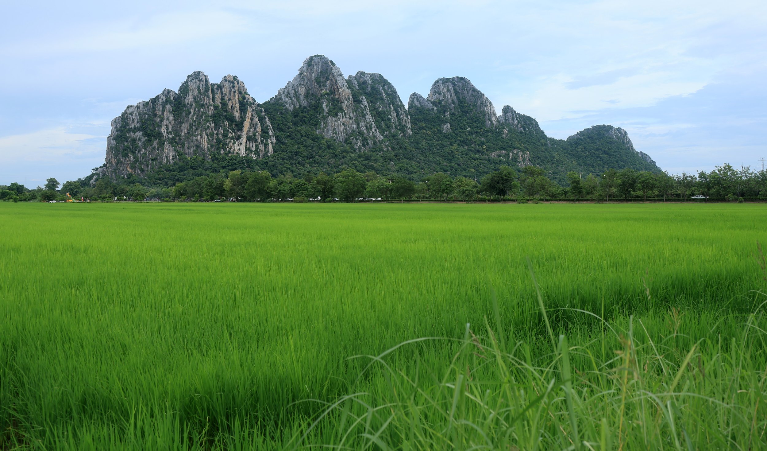 Khao Nor Khao Kaew Bat Viewing Nakhon Sawan (35).jpg