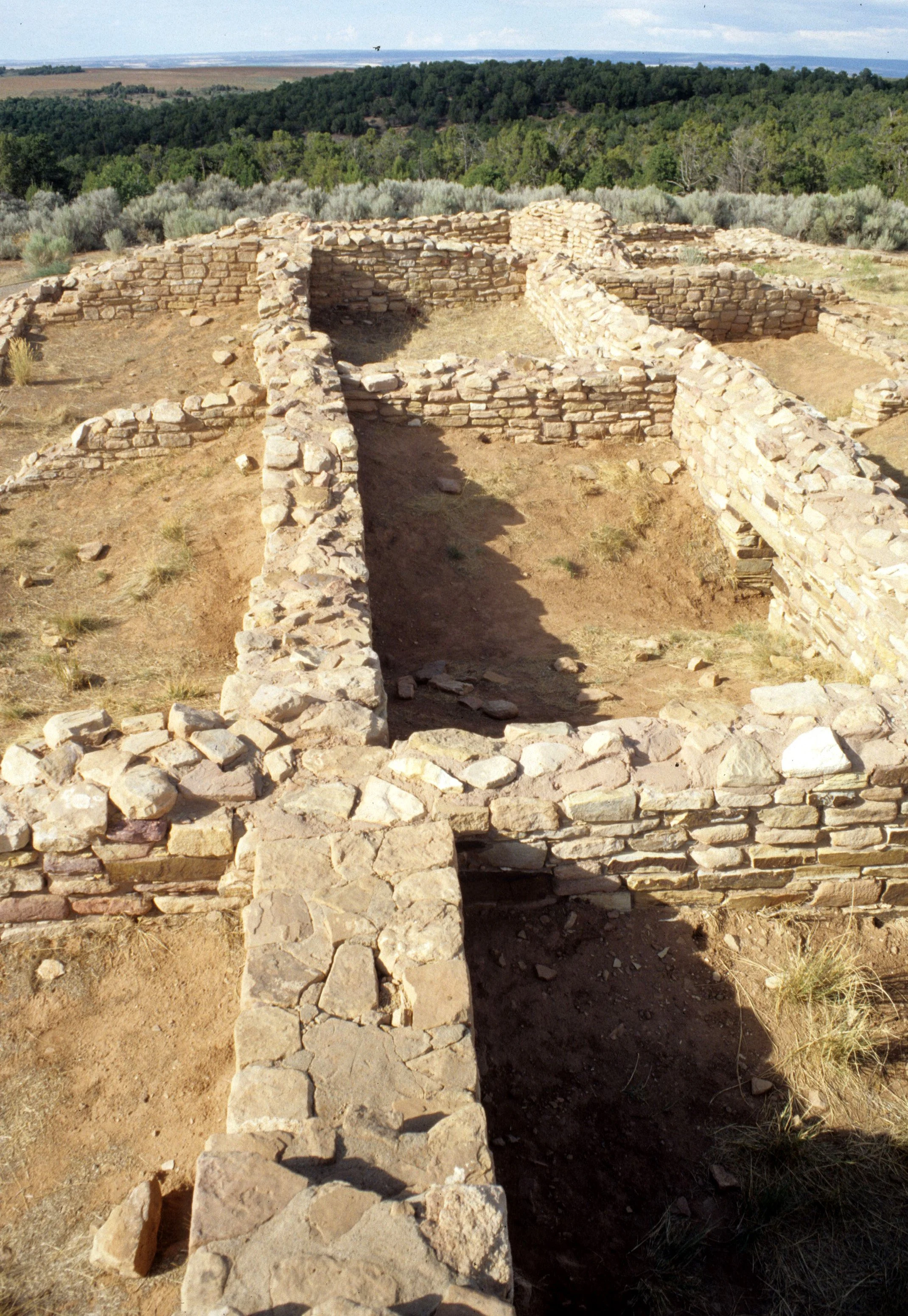 ANASAZILAND - LOWRY RUINS NM - COLO.jpg