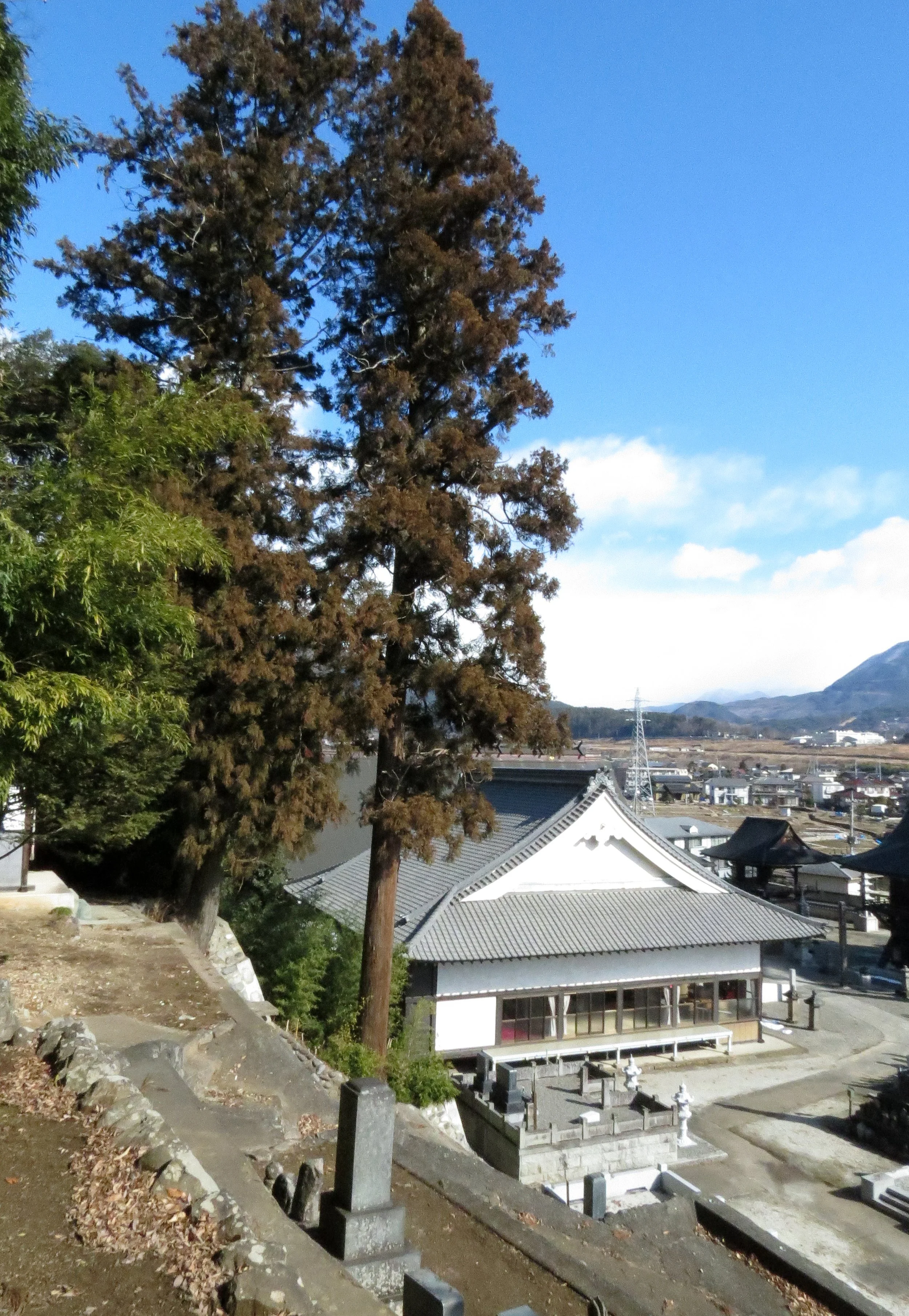 NIRASAKI TEMPLE  JAPAN (8).JPG