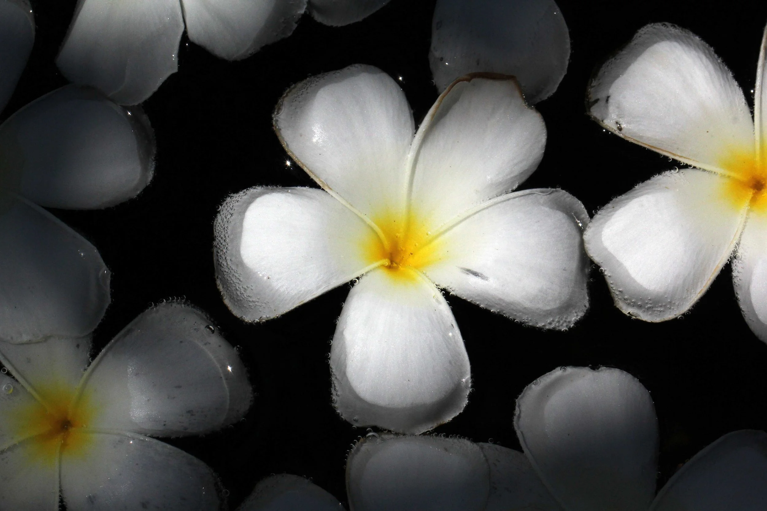 2015 Koh Lanta Songkran with friends from ISB (545).JPG