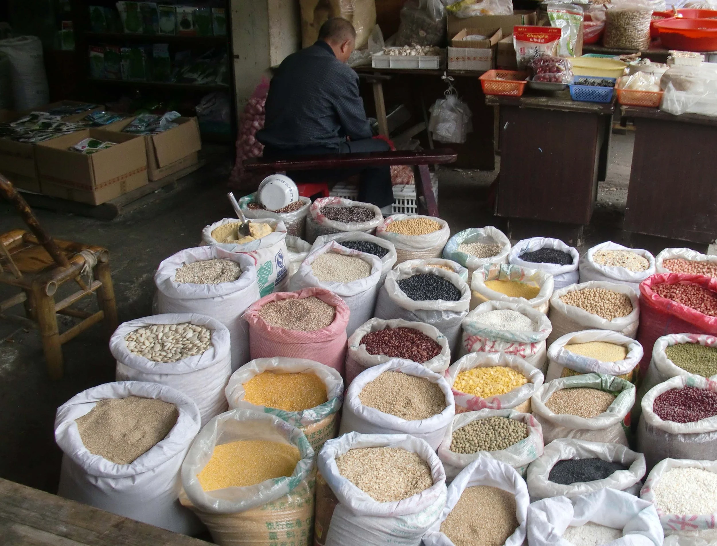 OCTOBER 2011 NATIONAL HOLIDAY VACATION IN SHANGHAI - BIKE RIDE TO OUR VILLAGE IN JINQIAO (23).JPG