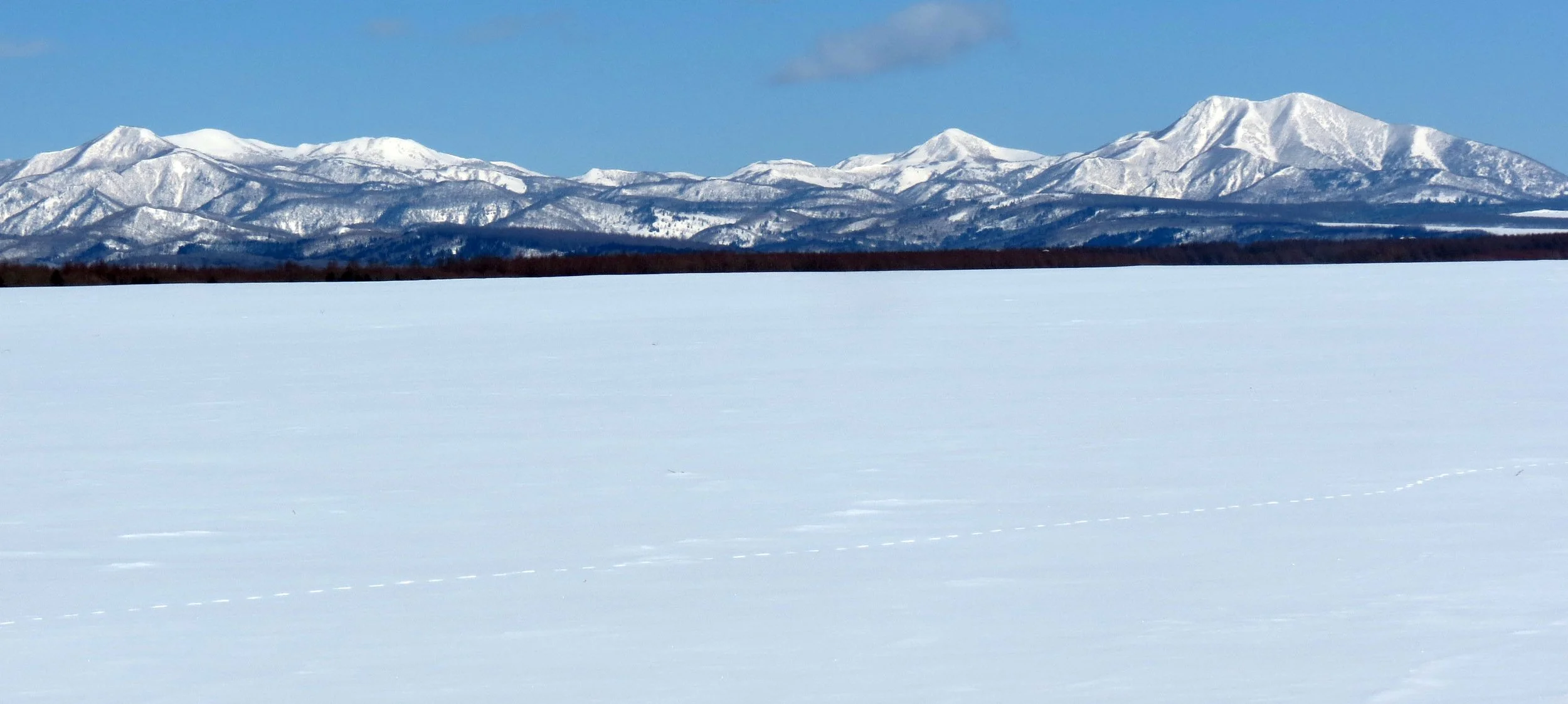 YOROUSHI ONSEN - DAIICHI SPA - HOKKAIDO JAPAN (60).JPG