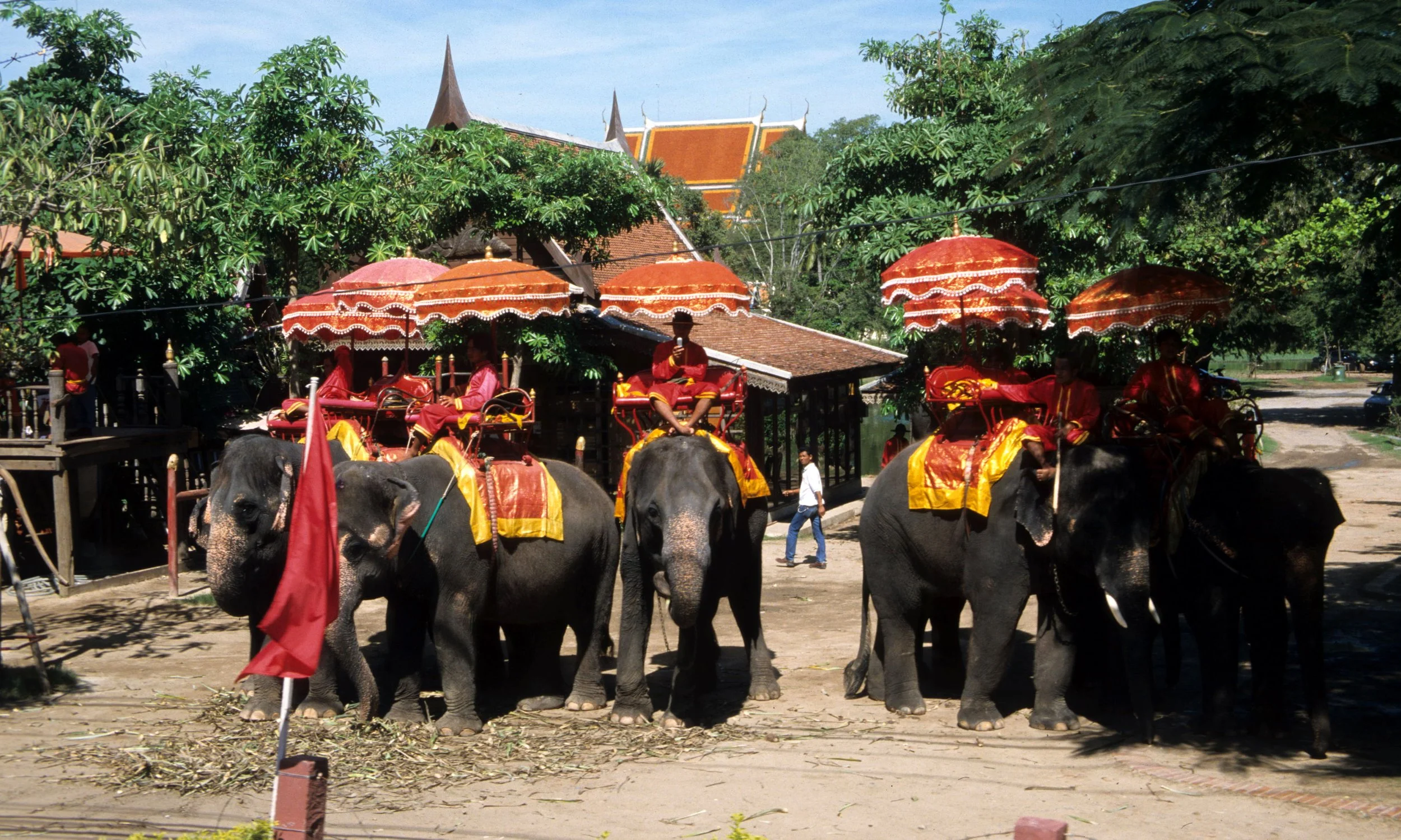 AYUDTHAYA - ELEPHANTS.jpg