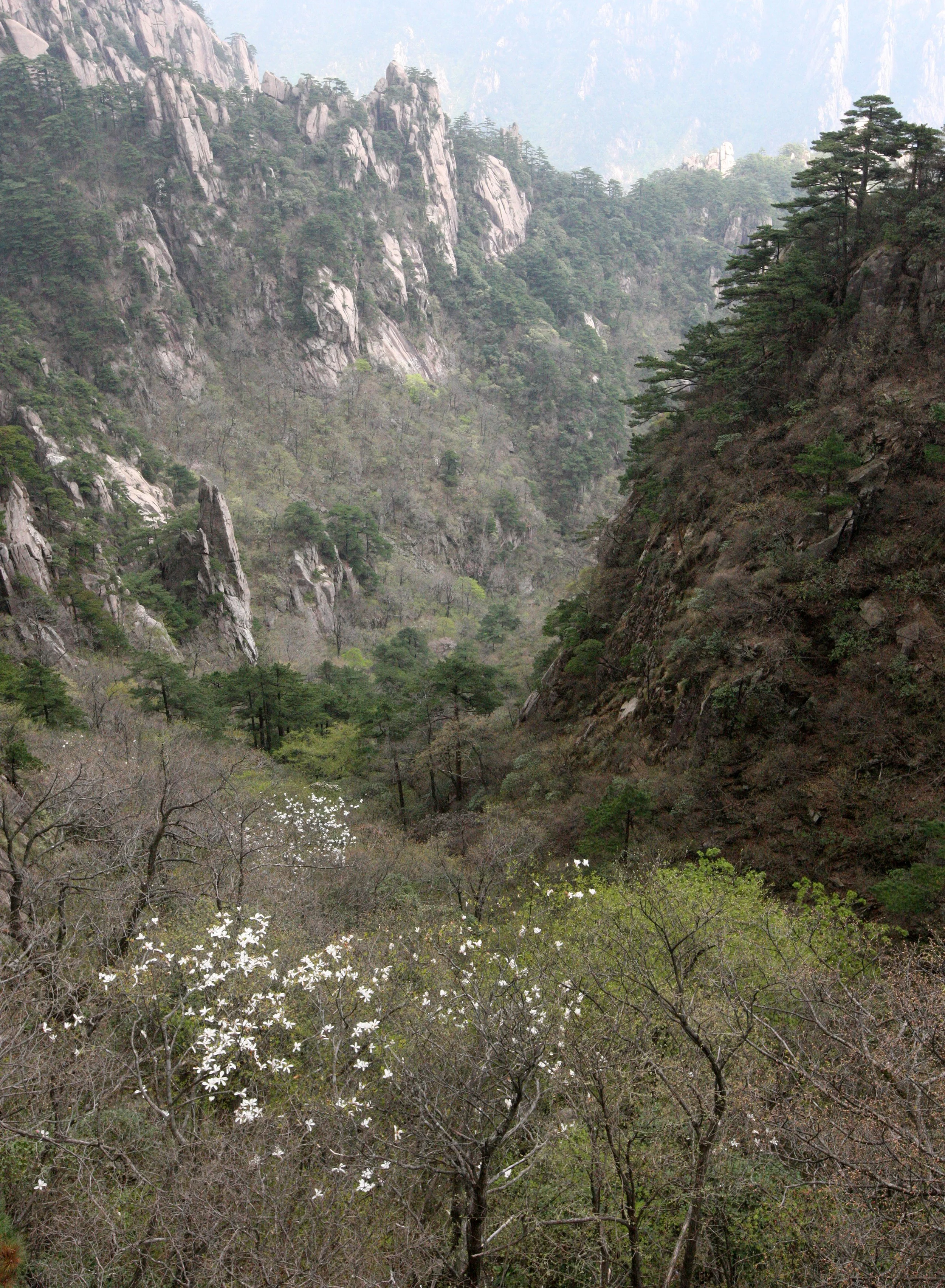 HUANGSHAN NATIONAL PARK ANHUI PROVINCE CHINA (24).JPG