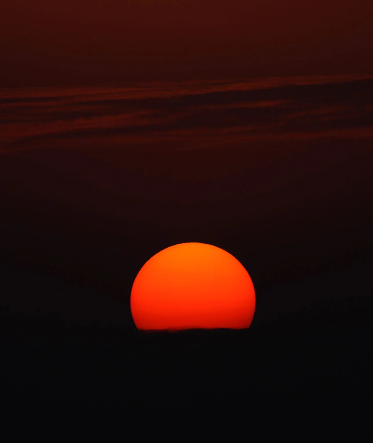 NANJI HILL RESERVE - POYANG LAKE CHINA (11).JPG