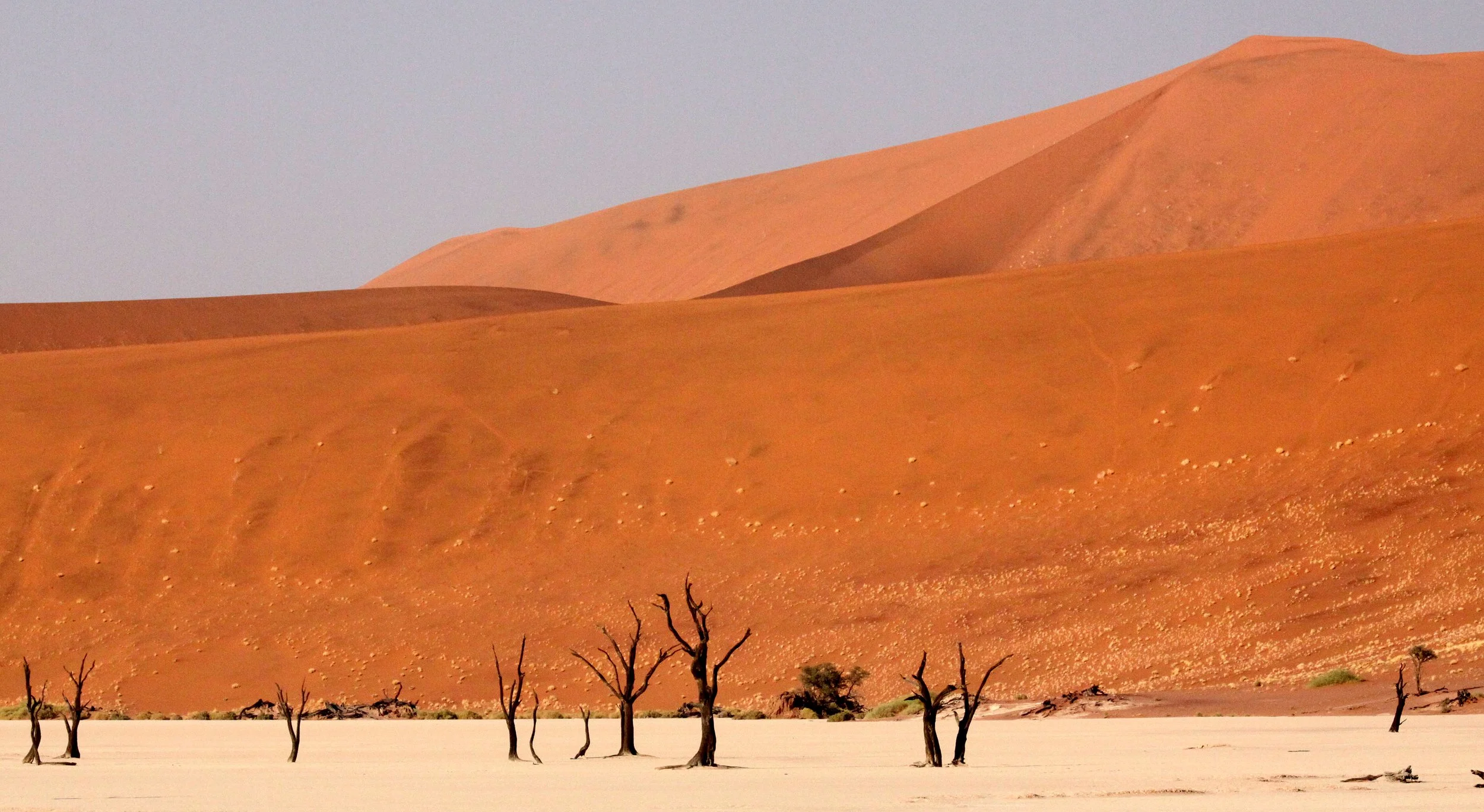 SOSSUSVLEI, NAMIB NAUKLUFT NATIONAL PARK, NAMIBIA - DEAD VLEI (68).JPG
