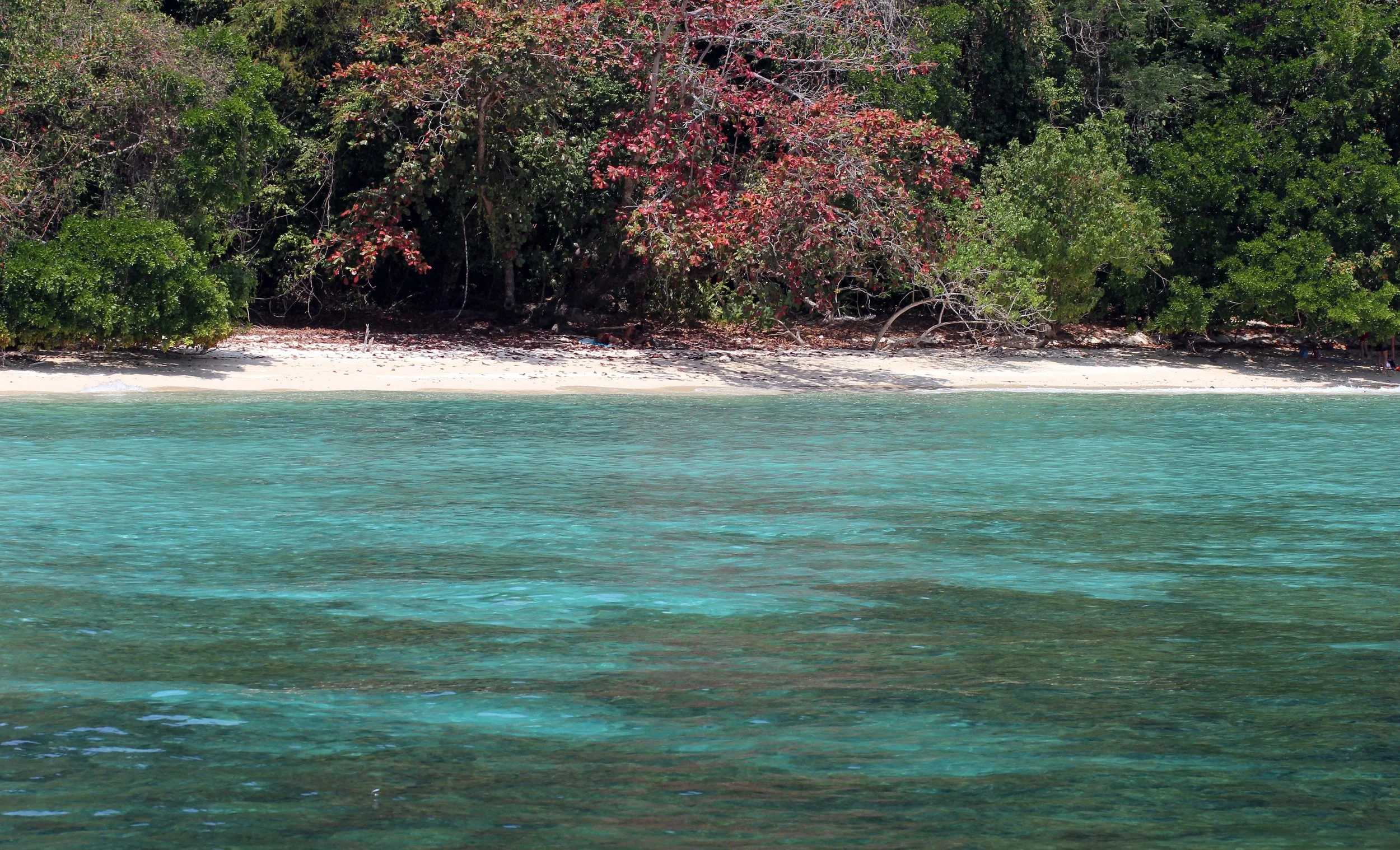 2014 ISB Trip to Kradan Island Southern Thailand (7).JPG