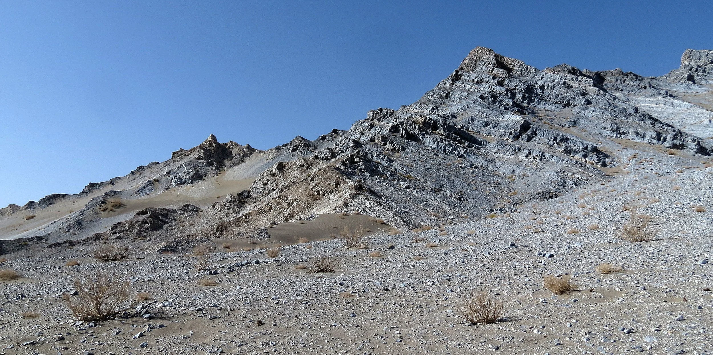 LOP NUR WILD BACTRIAN CAMEL RESERVE - XINJIANG CHINA (83).JPG