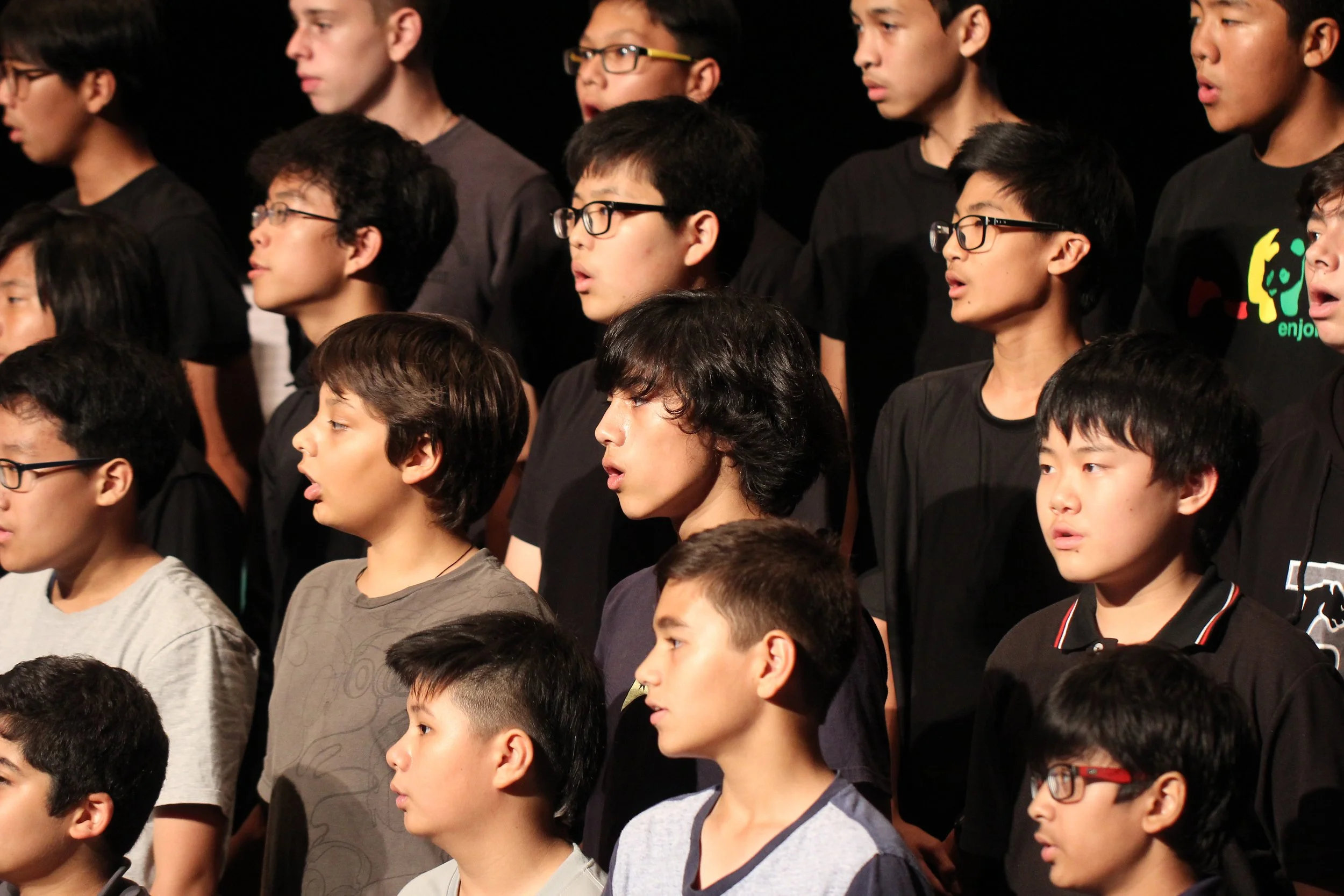 2015 Spring Concert for Cokie at ISB (30).JPG