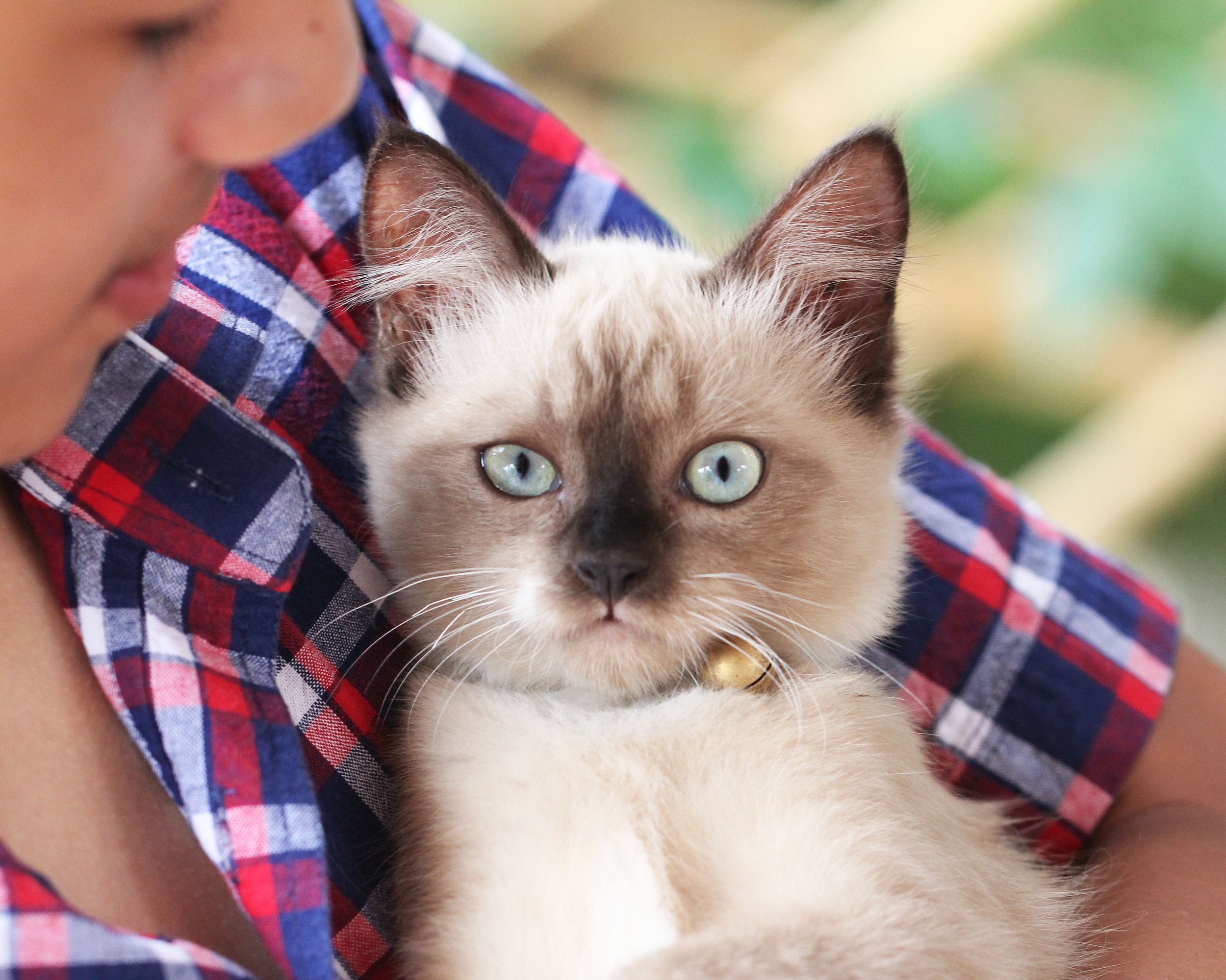 2015 Koh Lanta October Break Trip  (151).JPG