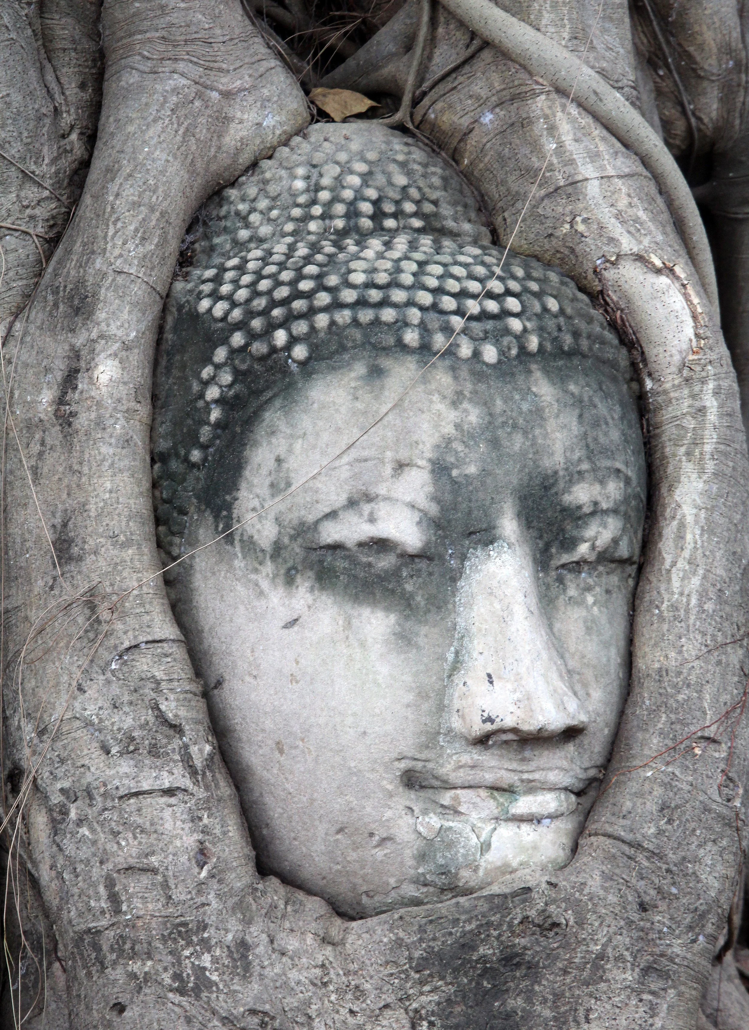 AYUTTHAYA PASSION DAY NOVEMBER 2013 (75).JPG