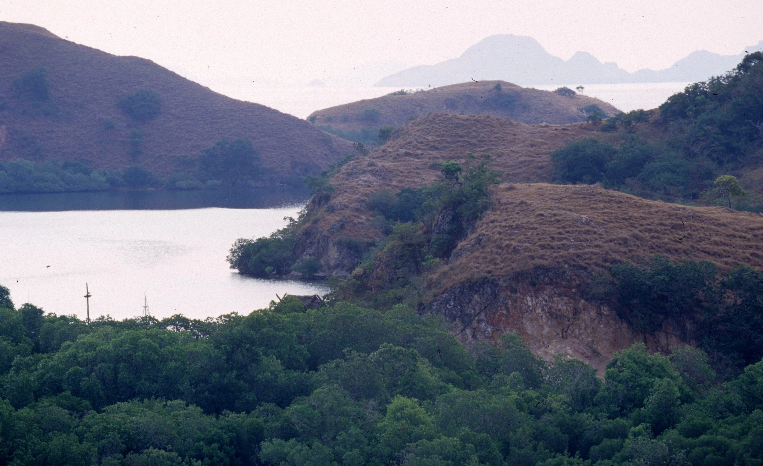 KOMODO - VIEW OF RINJA ISLAND.jpg