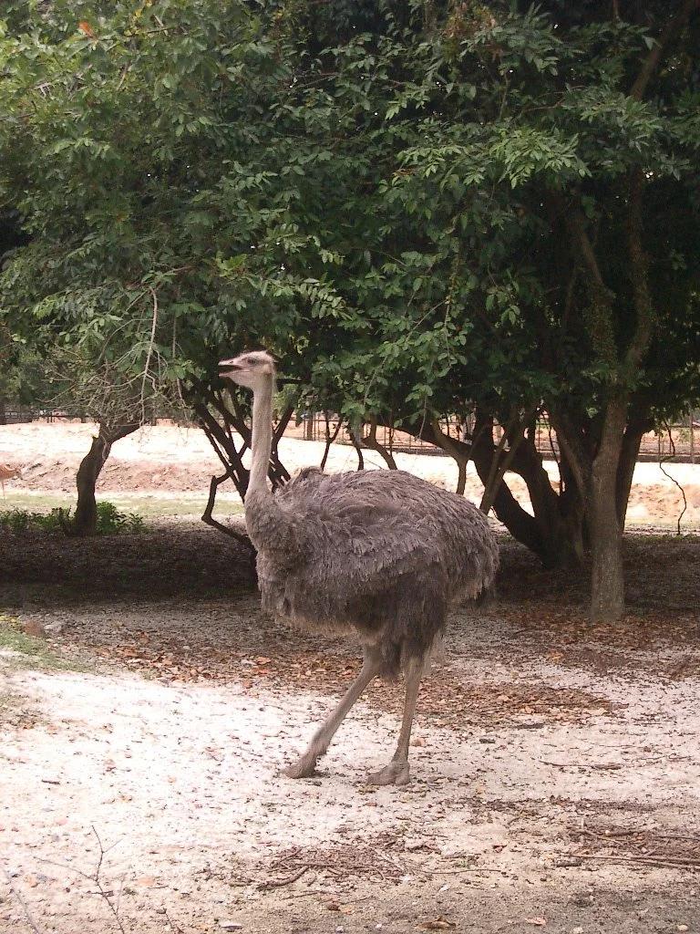 2004 Nakhonsithammarat with Family  (44).JPG
