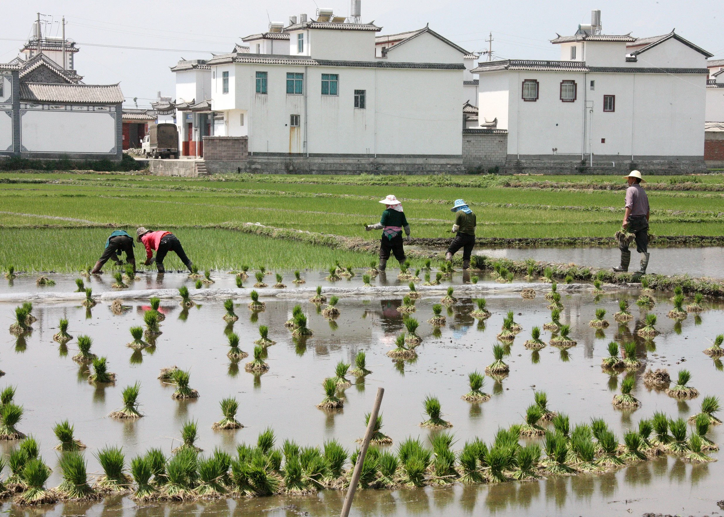 LINDEN CENTER - XIZHOU VILLAGE YUNNAN CHINA (265).JPG