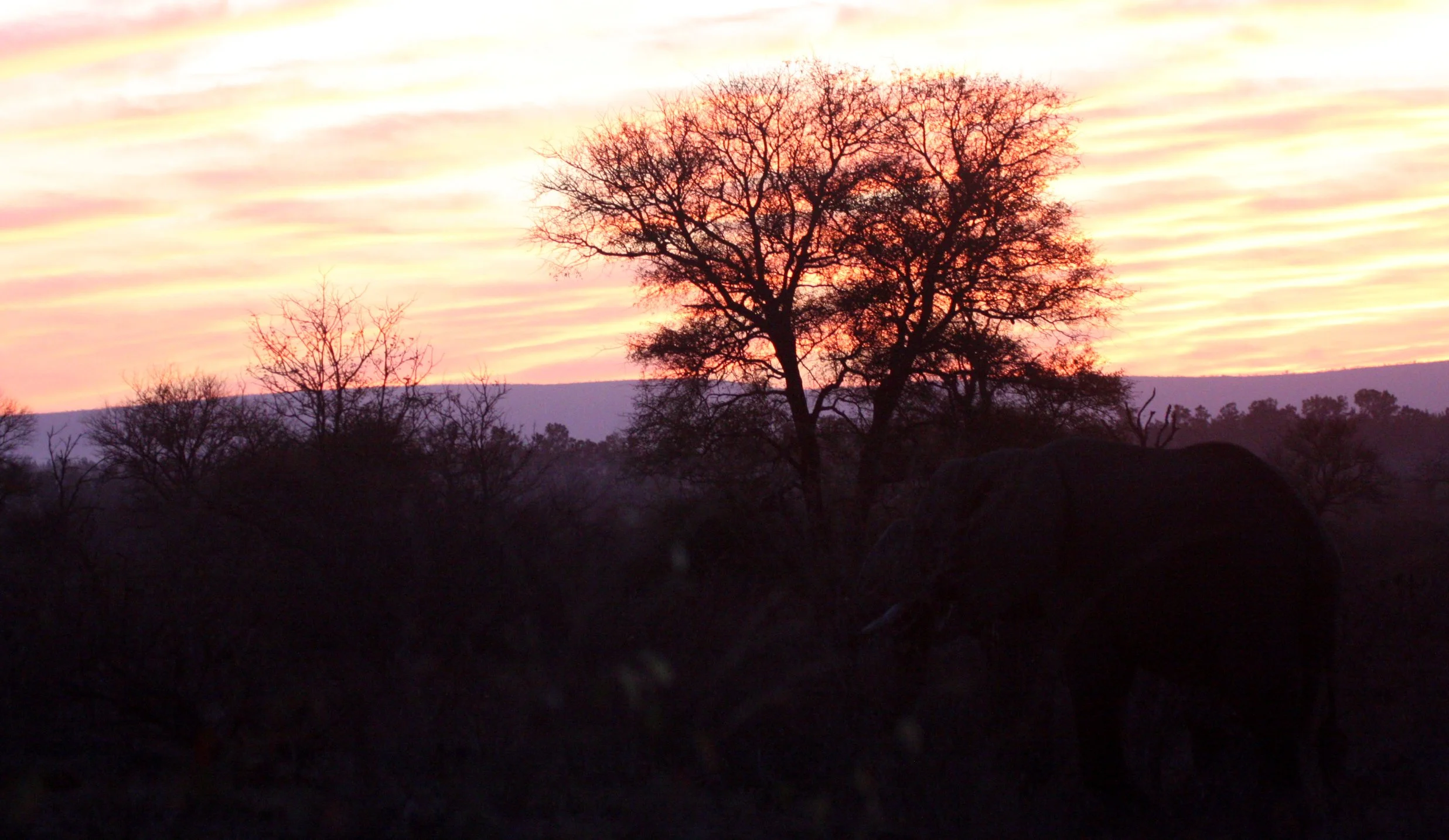 KRUGER NATIONAL PARK SOUTH AFRICA - SUNSET (4).JPG