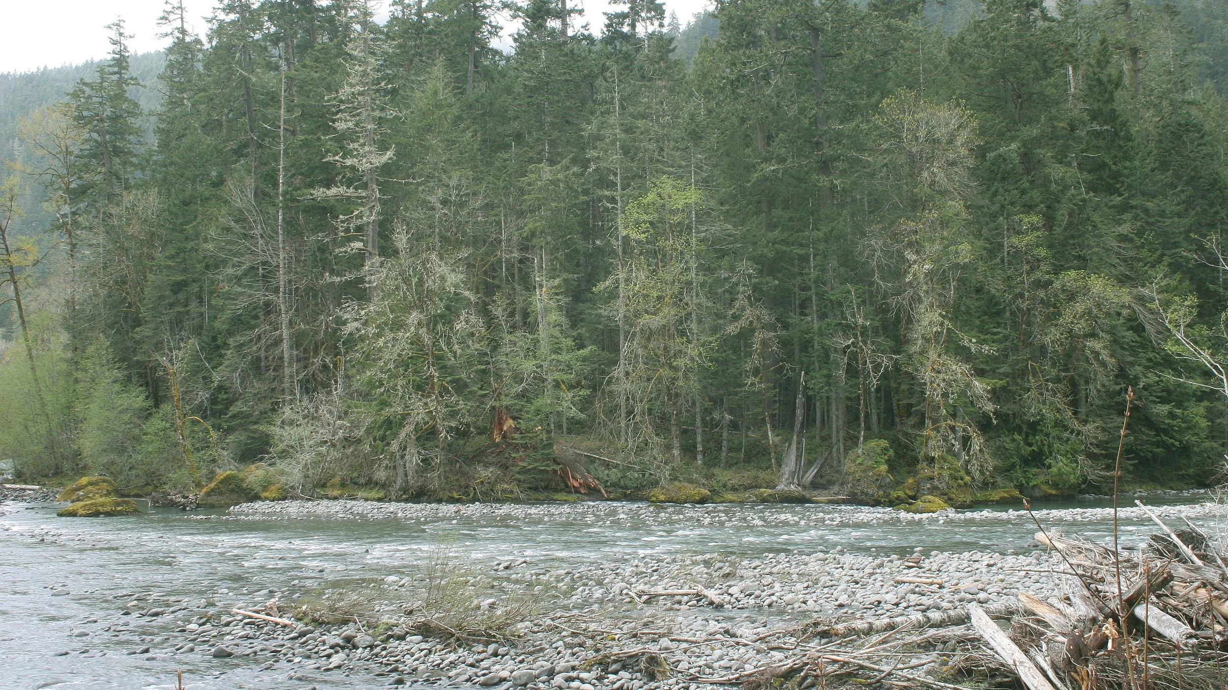 ELWHA RIVER VALLEY (17).JPG