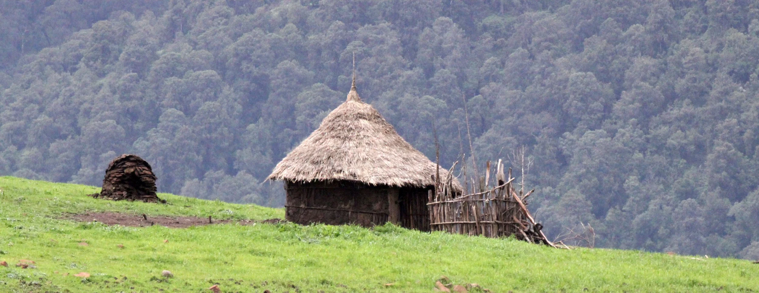 BALE MOUNTAINS NATIONAL PARK ETHIOPIA (12).JPG