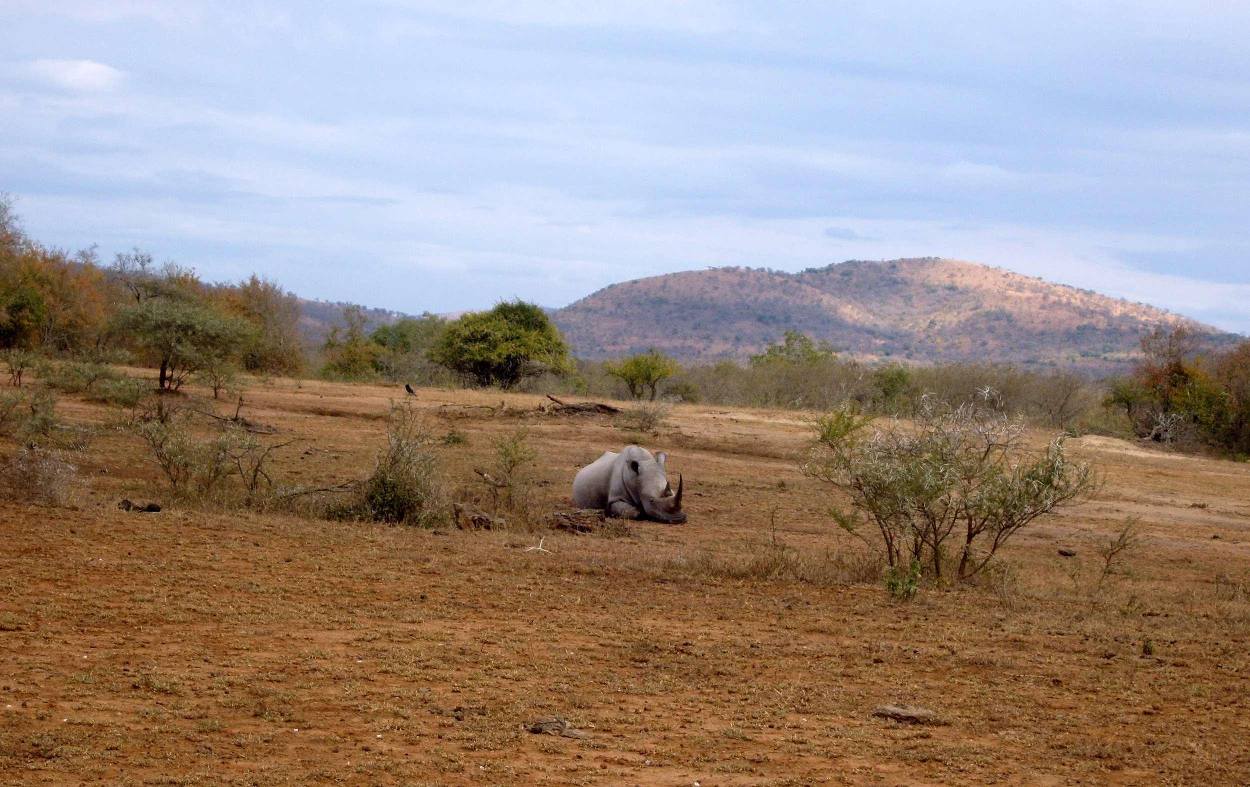 2009-6-18 COKIE'S IMAGES - MADAGASCAR AND AFRICA (15).JPG