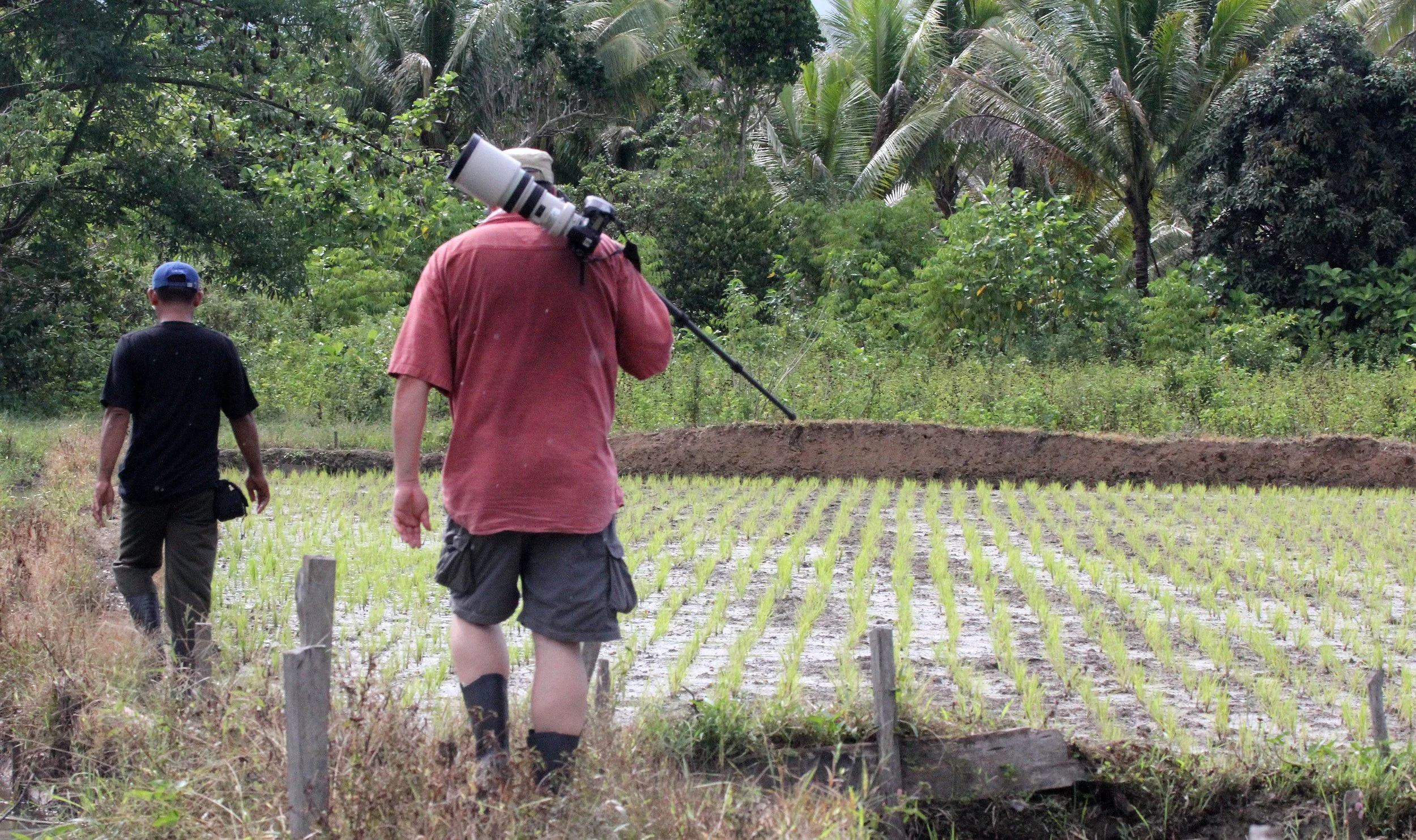 NANTU NATIONAL NATURE RESERVE - SULAWESI INDONESIA (2).JPG