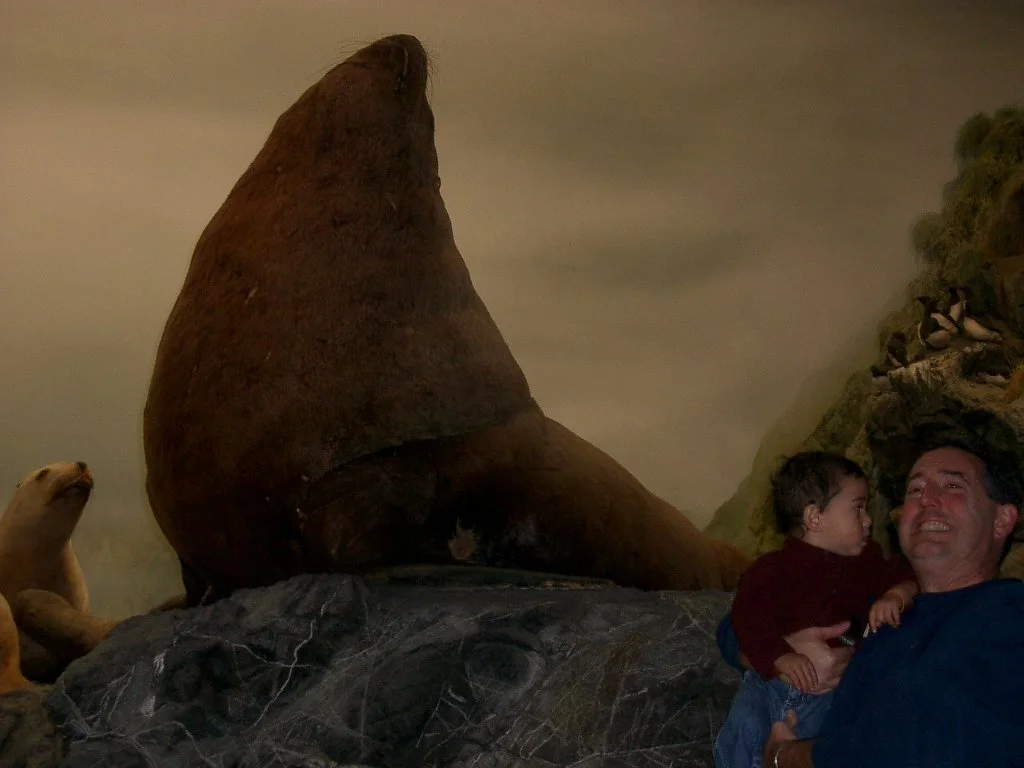 2003-11-28 DAY TRIP TO VICTORIA BC (12).JPG