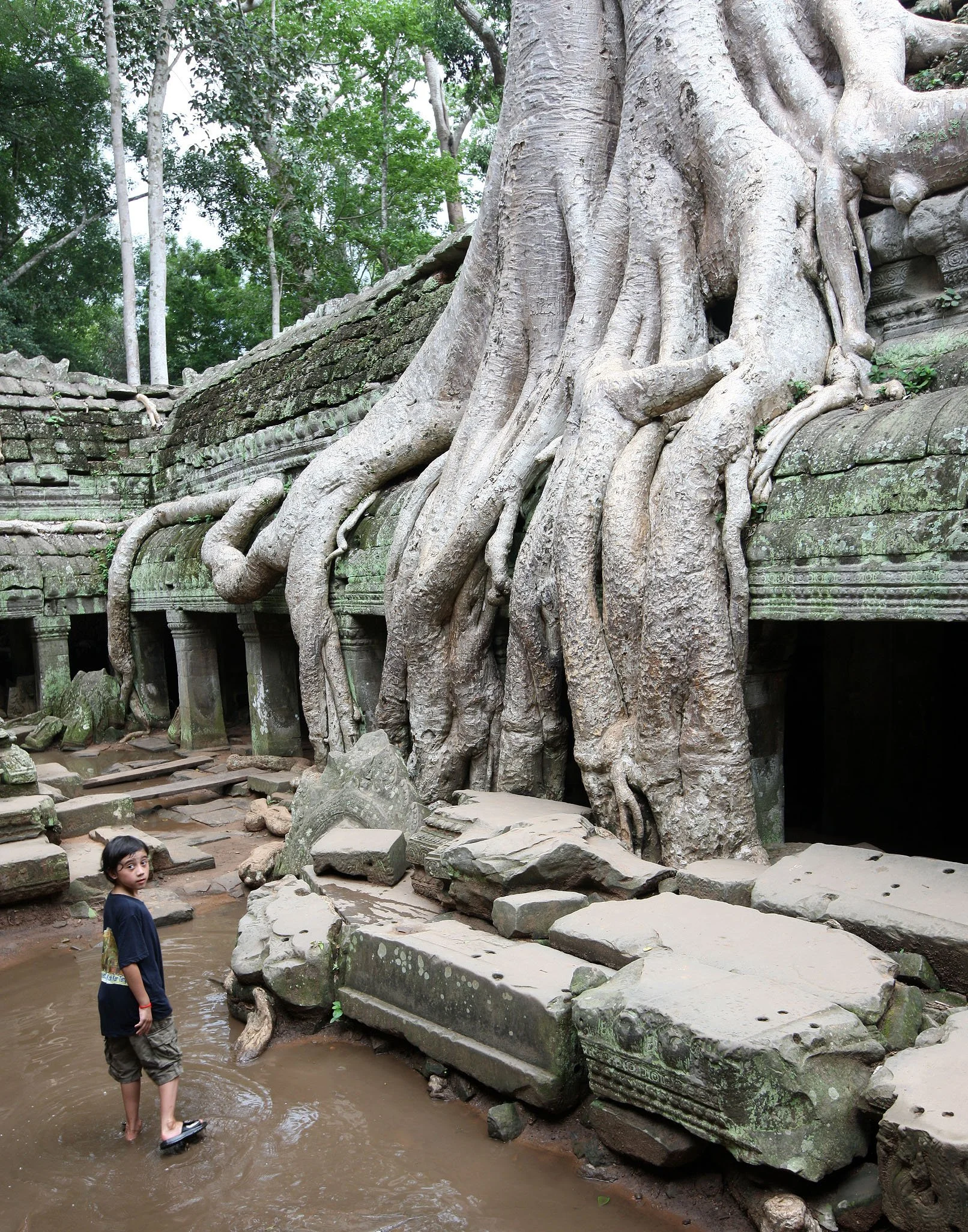 TA PROHM TEMPLE CAMBODIA - JULY 2010 (31).JPG
