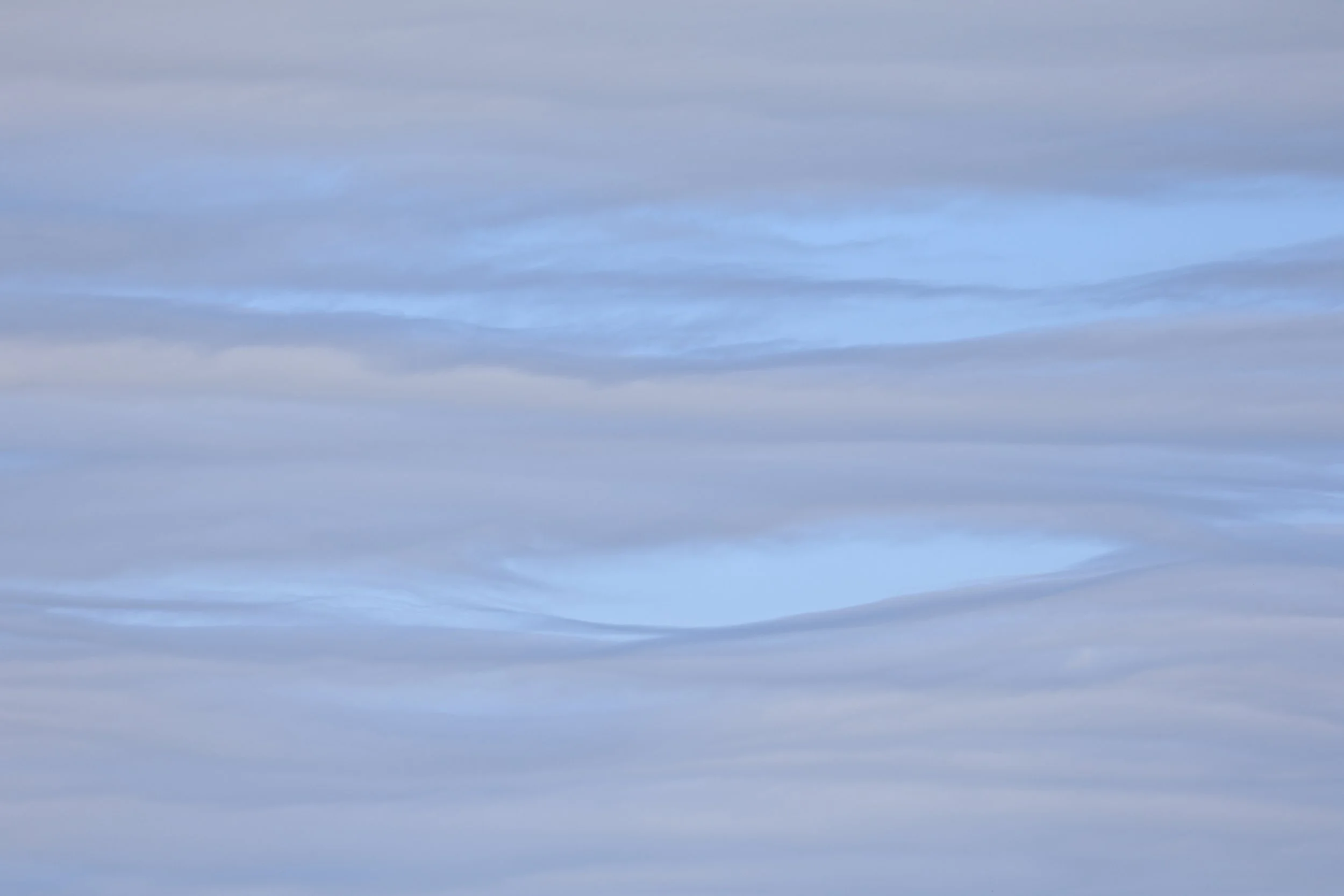 Chaco Lodge & Laguna Salada Paraguay (283).jpg