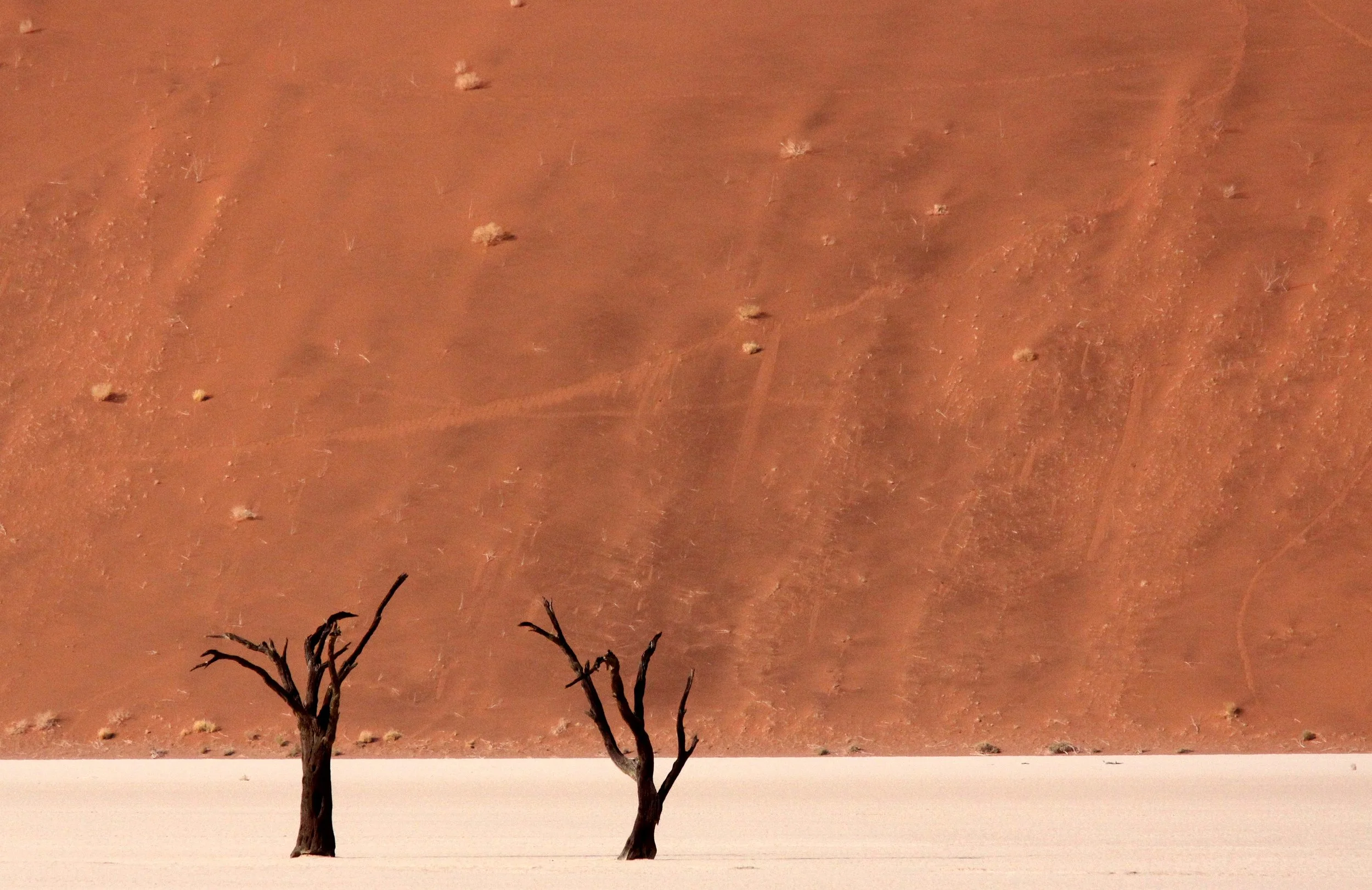 SOSSUSVLEI, NAMIB NAUKLUFT NATIONAL PARK, NAMIBIA - DEAD VLEI (80).JPG