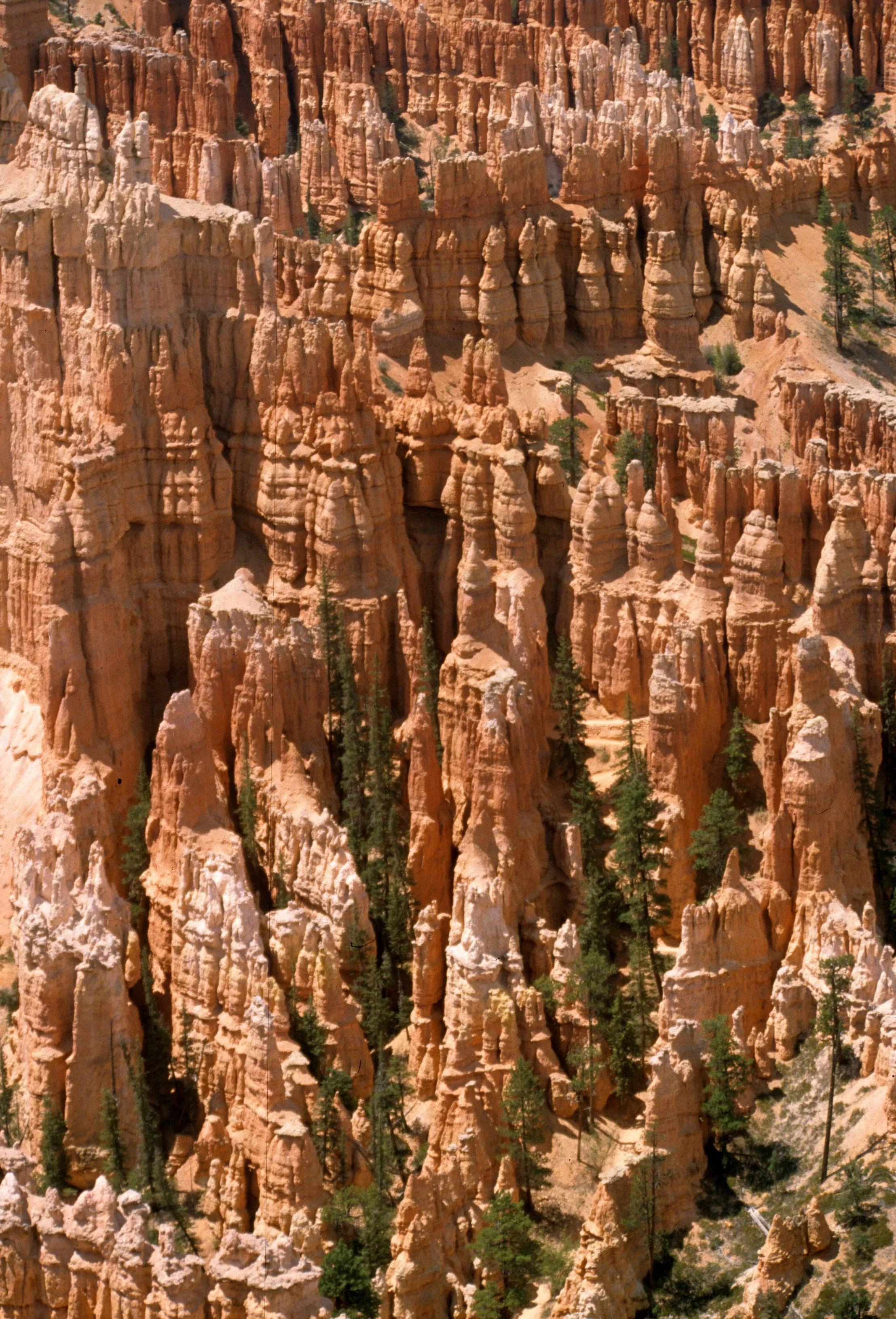 UTAH - BRYCE CANYON S.jpg