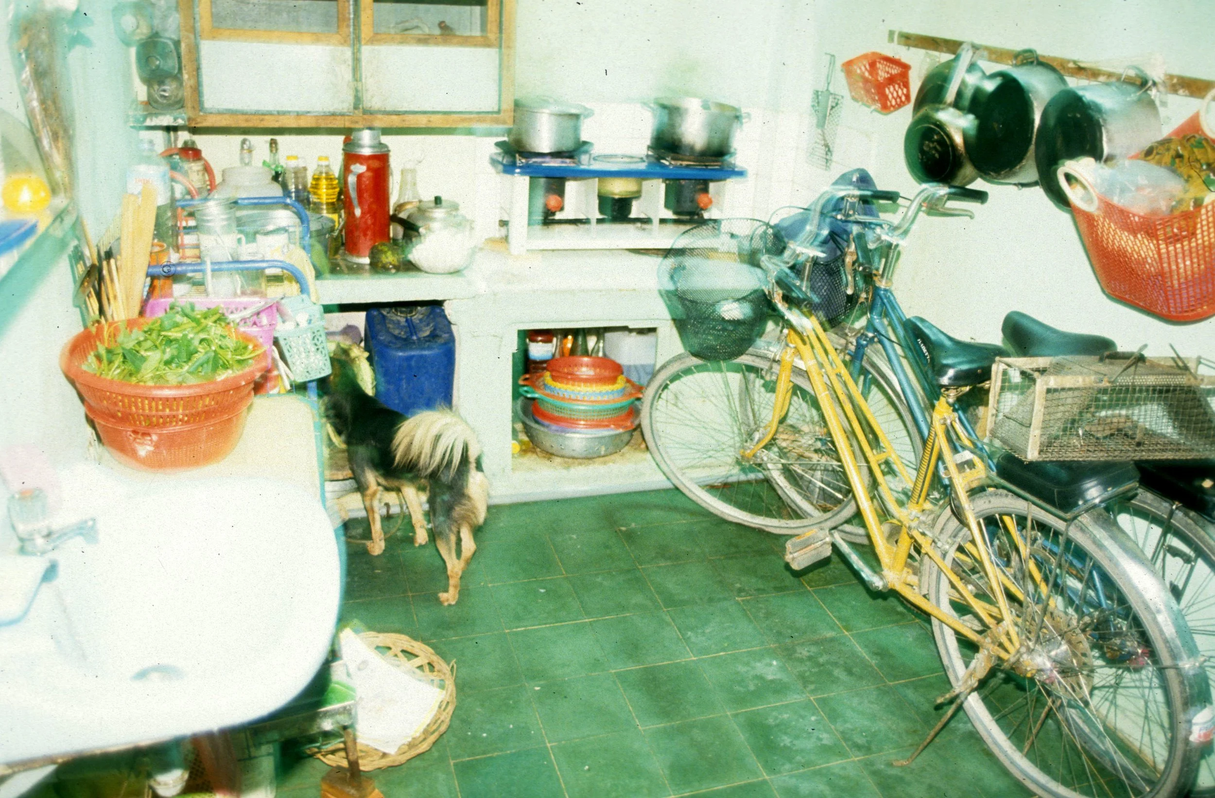 SAIGON - LIENS FAMILY (3).jpg