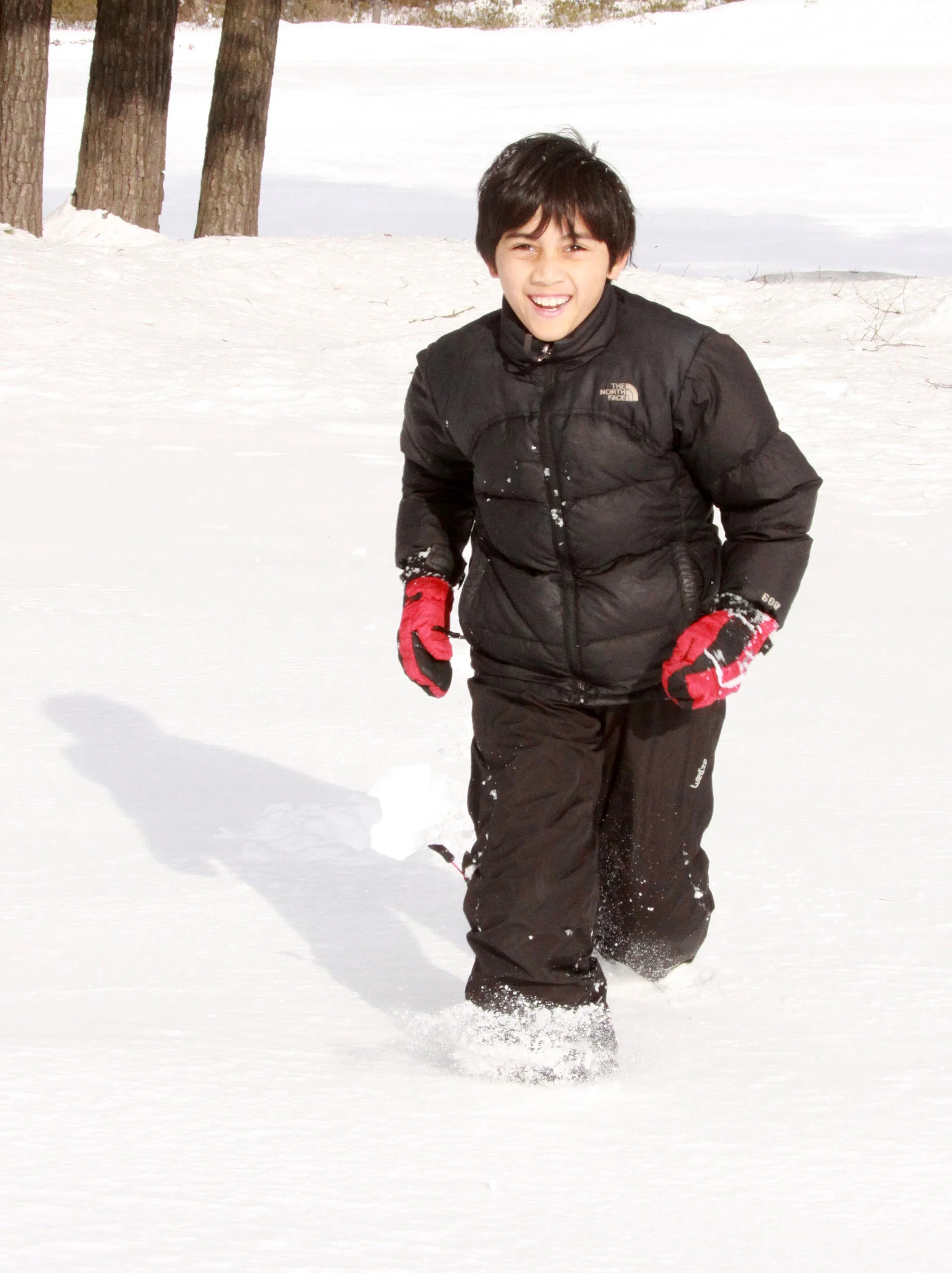 MOUNT ASAMA - JOSHIN'ETSUKOGEN NATIONAL PARK JAPAN (49).JPG