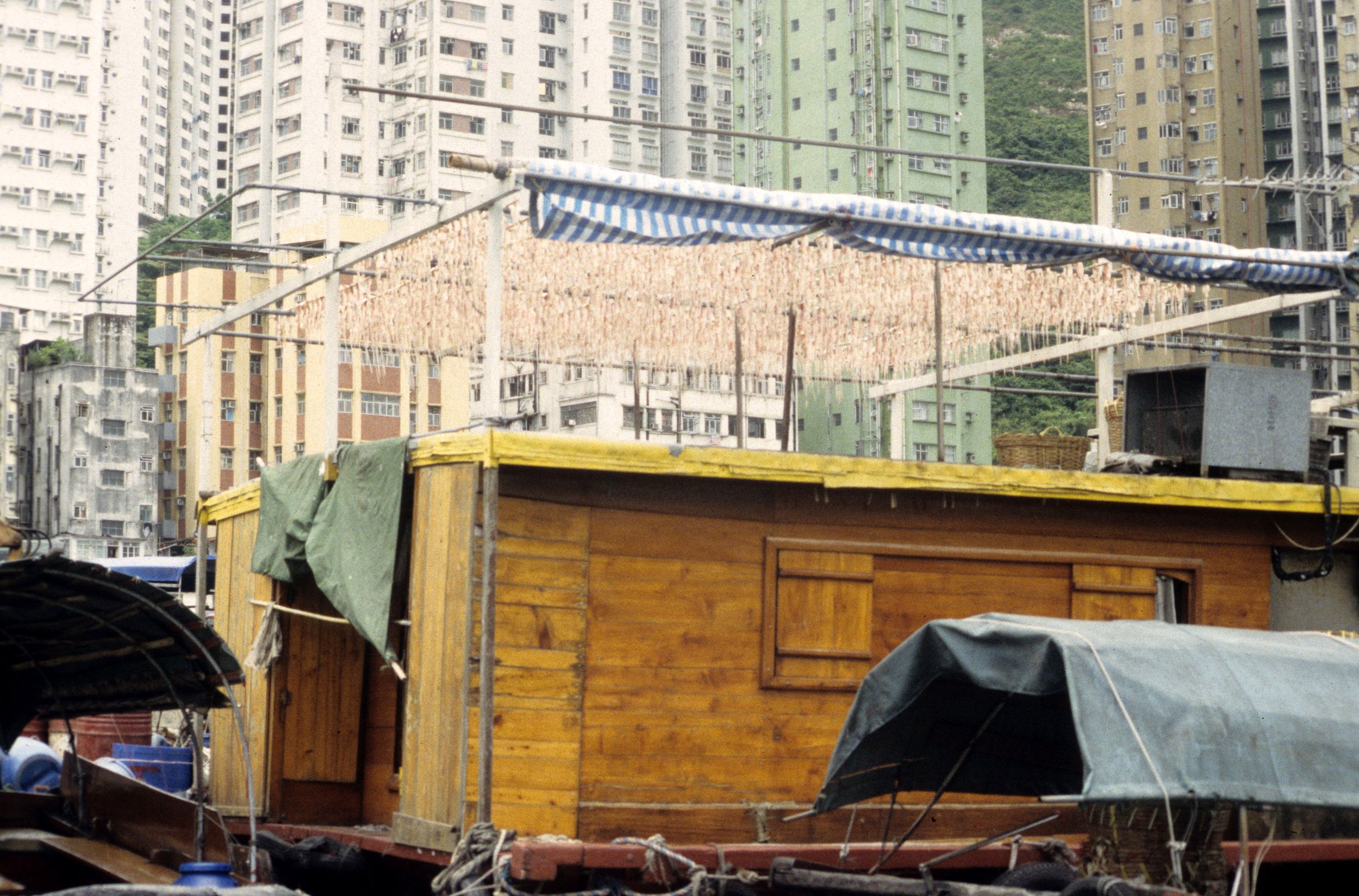 CHINA - HONG KONG & KOWLOON (12).jpg
