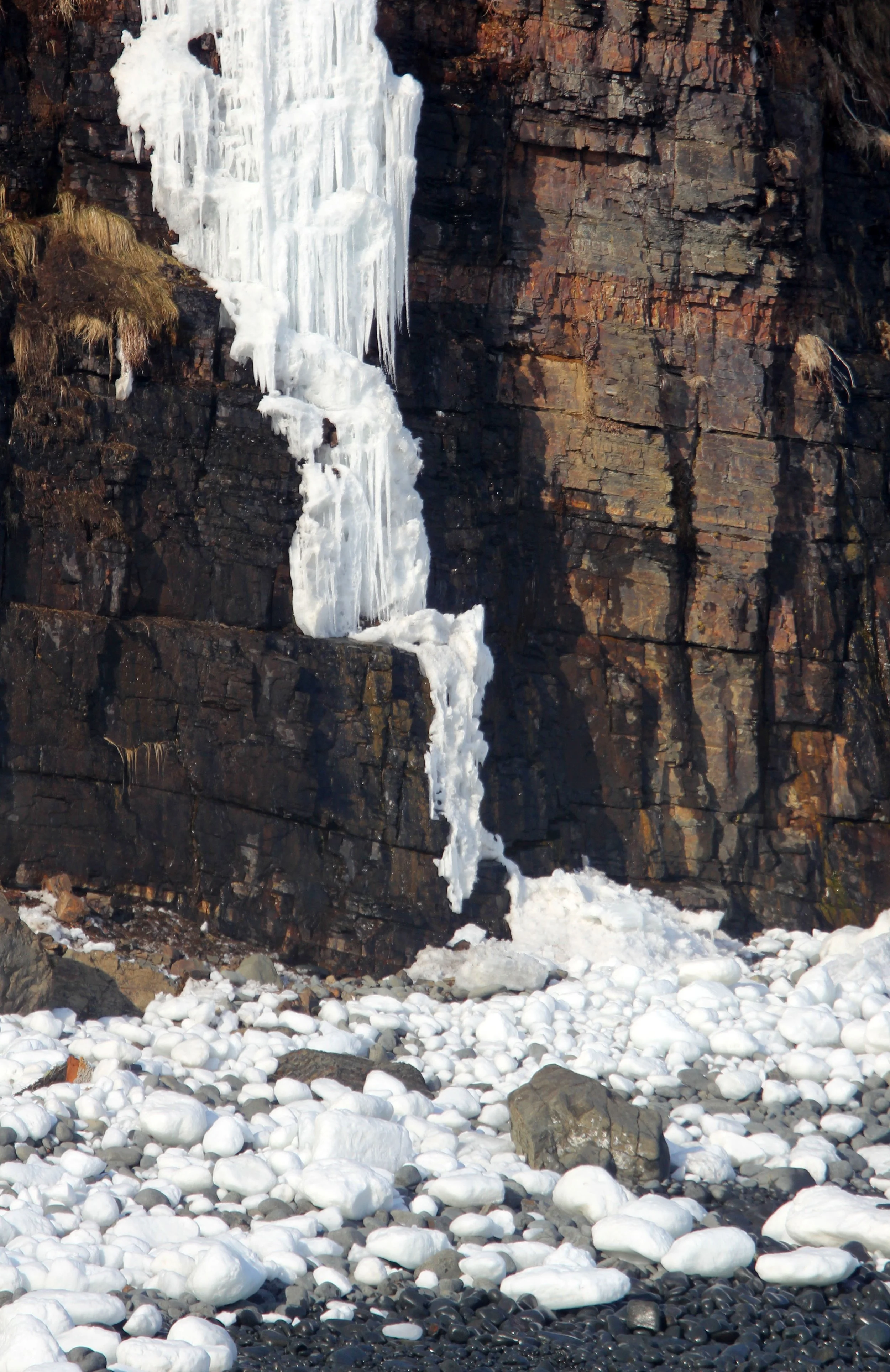 HANASAKI CAPE - NEMURO PENINSULA - HOKKAIDO JAPAN (2).JPG
