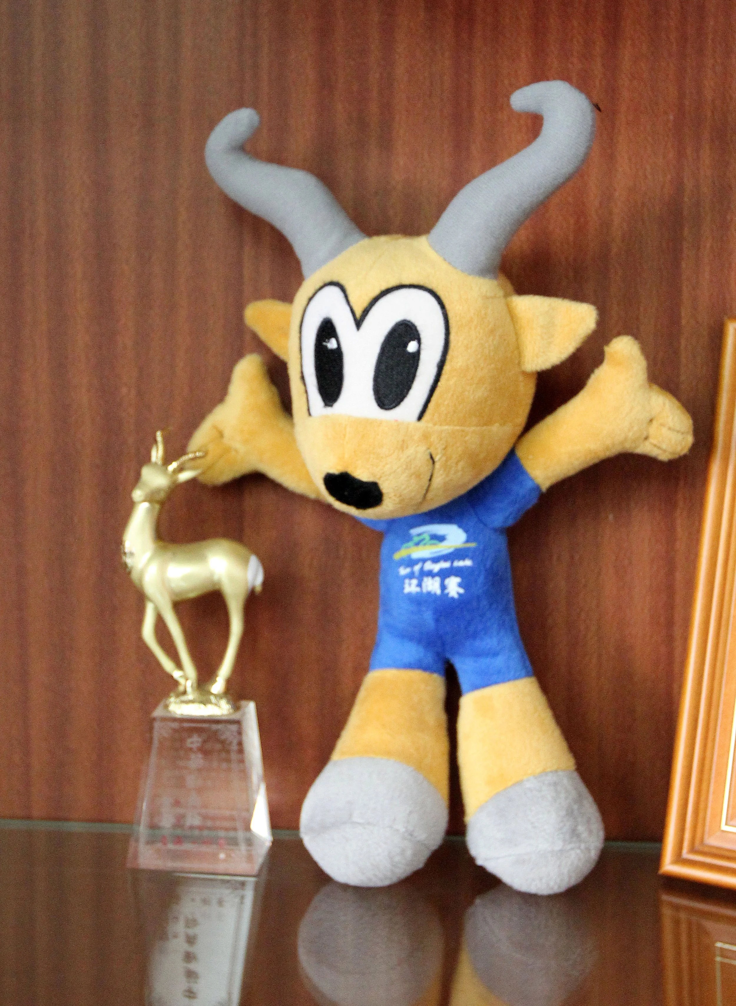 XINING CHINA - PROFESSOR GER - PRZEWALSKI'S GAZELLE EXPERT (4).JPG