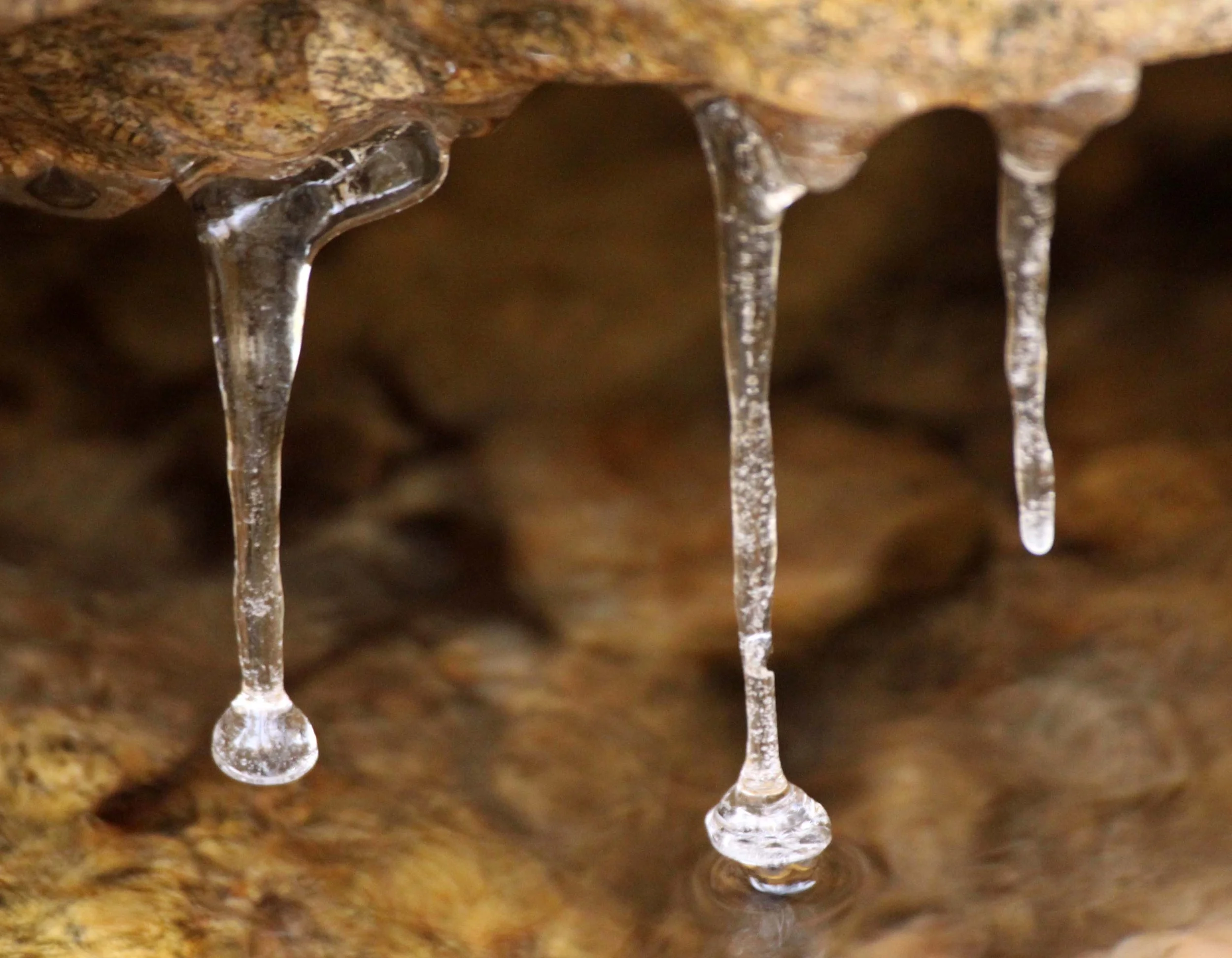 FOPING NATURE RESERVE - SHAANXI PROVINCE CHINA (129).JPG