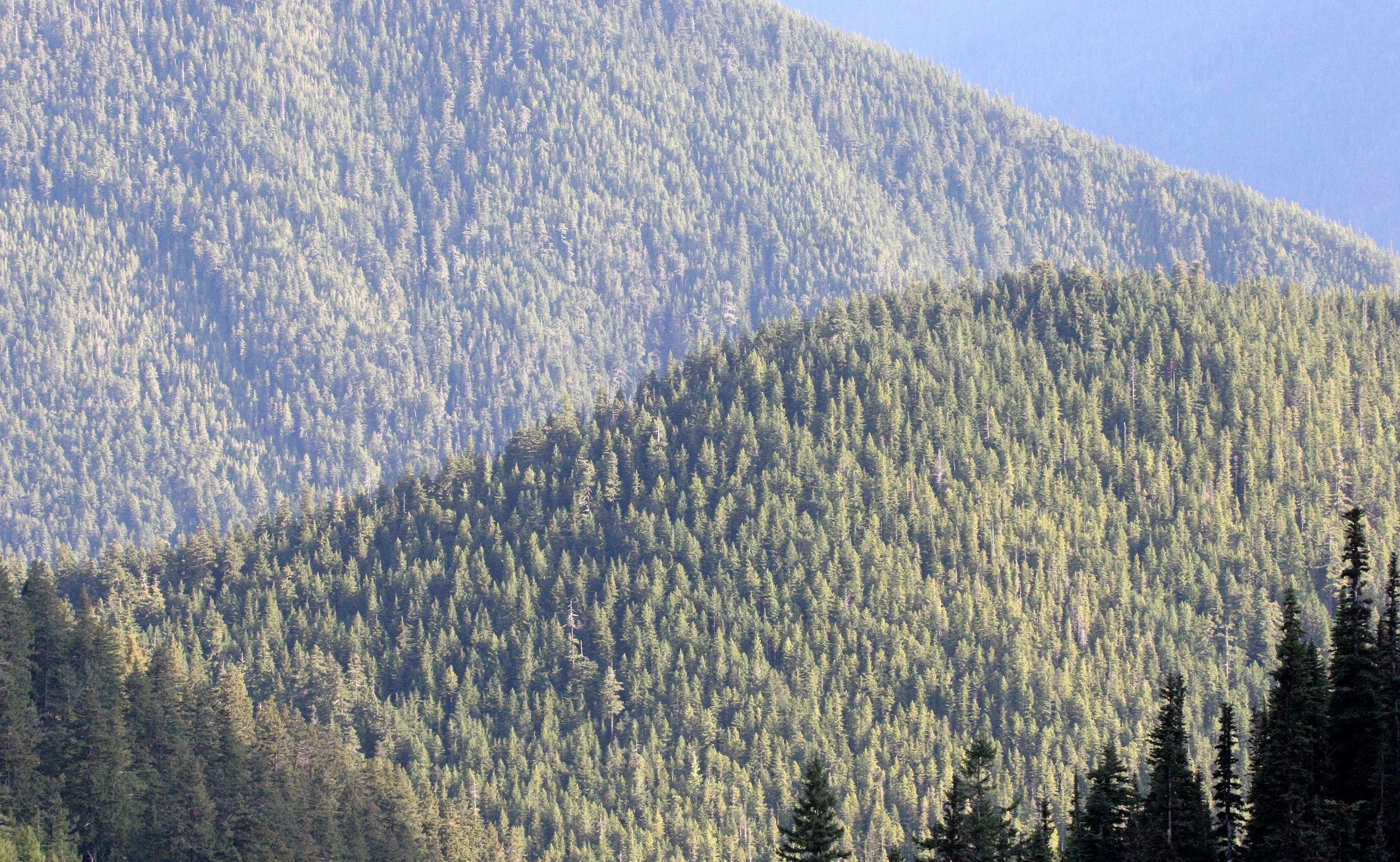 OLYMPIC NATIONAL PARK - VIEWS OF.JPG