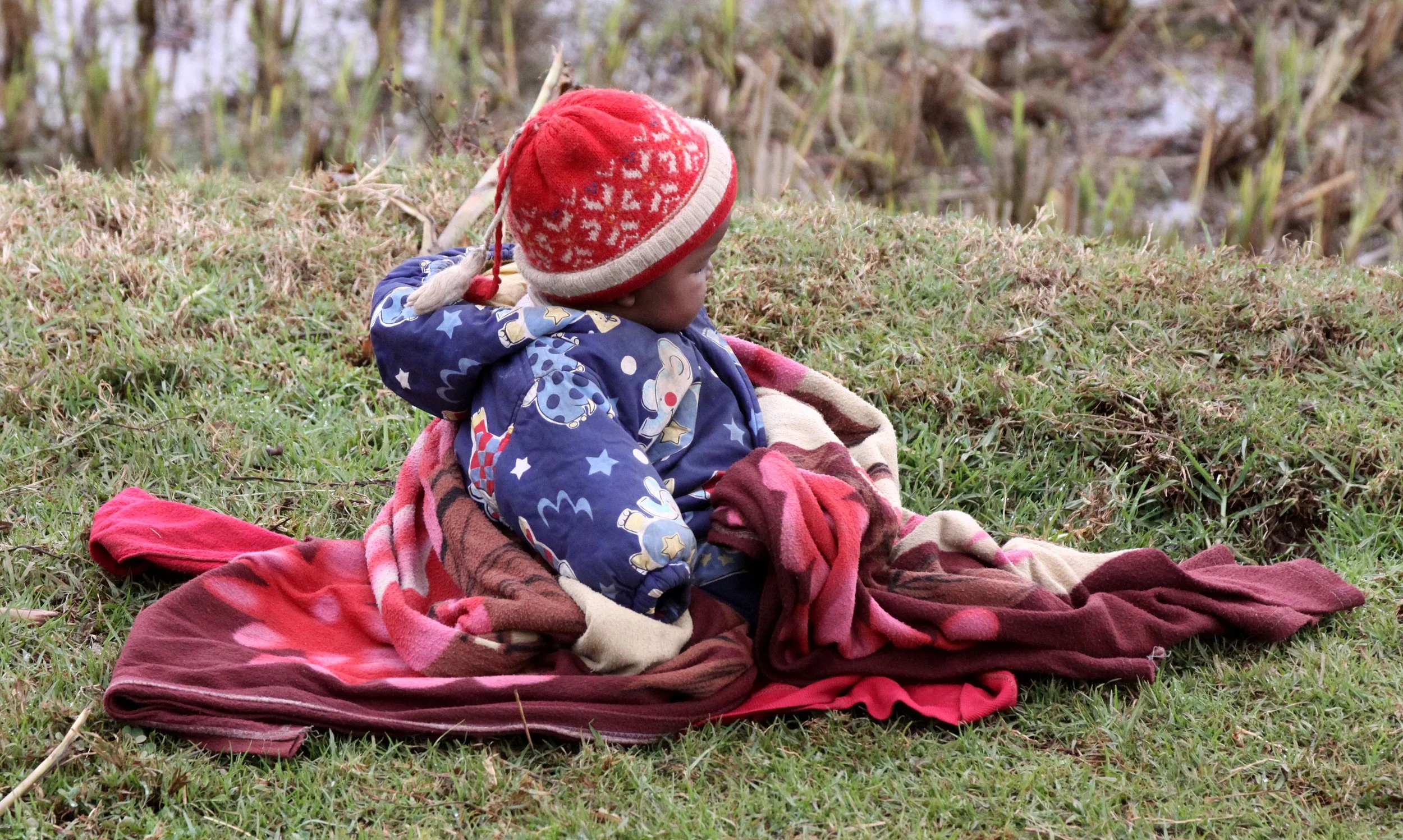 CENTRAL HIGHLANDS - ROAD TO RANOMAFANA (41).JPG