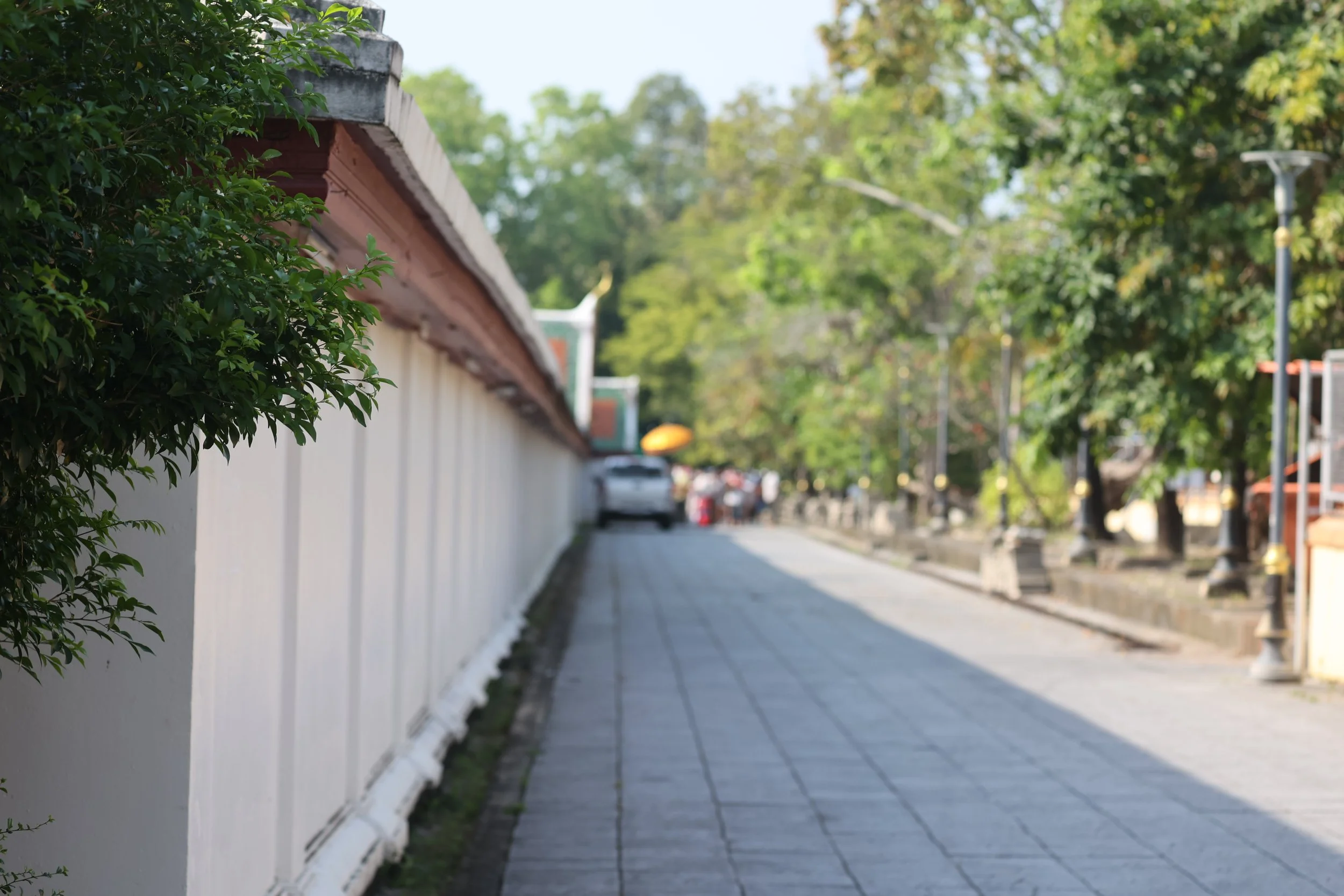 2022 Nakhonsithammarat Wat Mahatat and City Scenes with Cokie (19).JPG