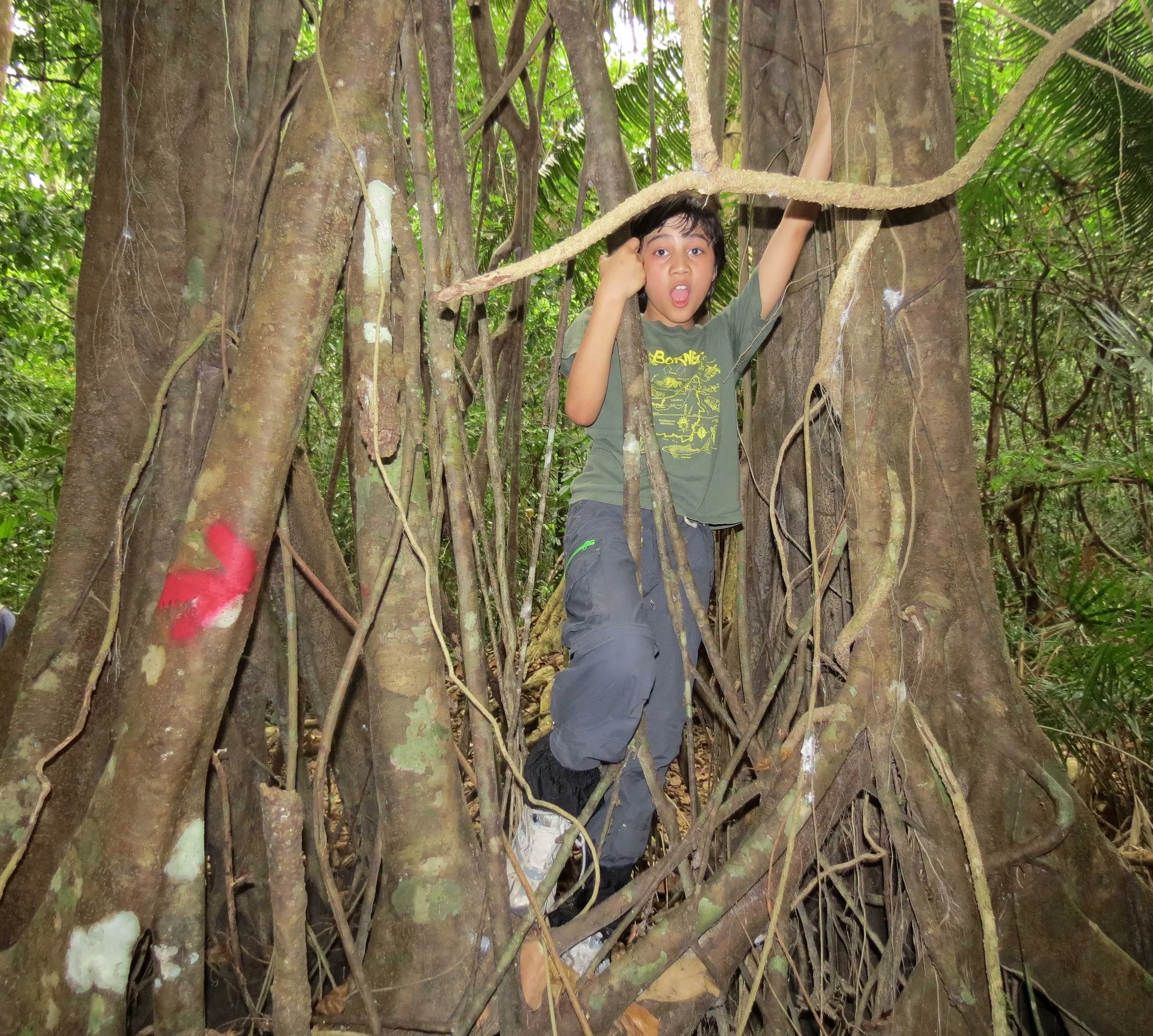 CAT TIEN NATIONAL PARK VIET NAM (63).JPG