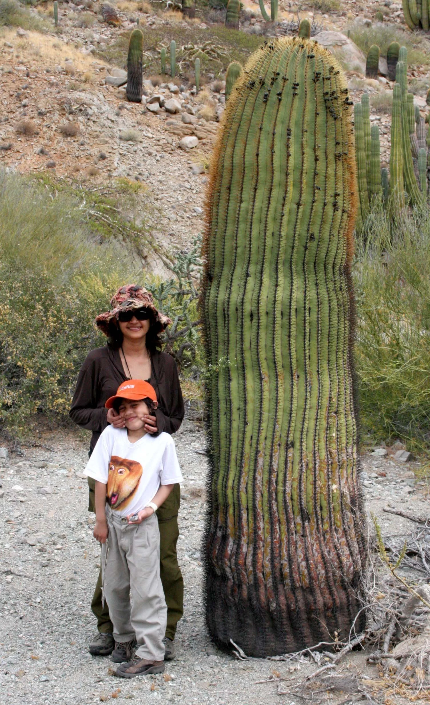 ISLA CATALINA - WITH THE CATALINA BARREL CACTUS (3).JPG