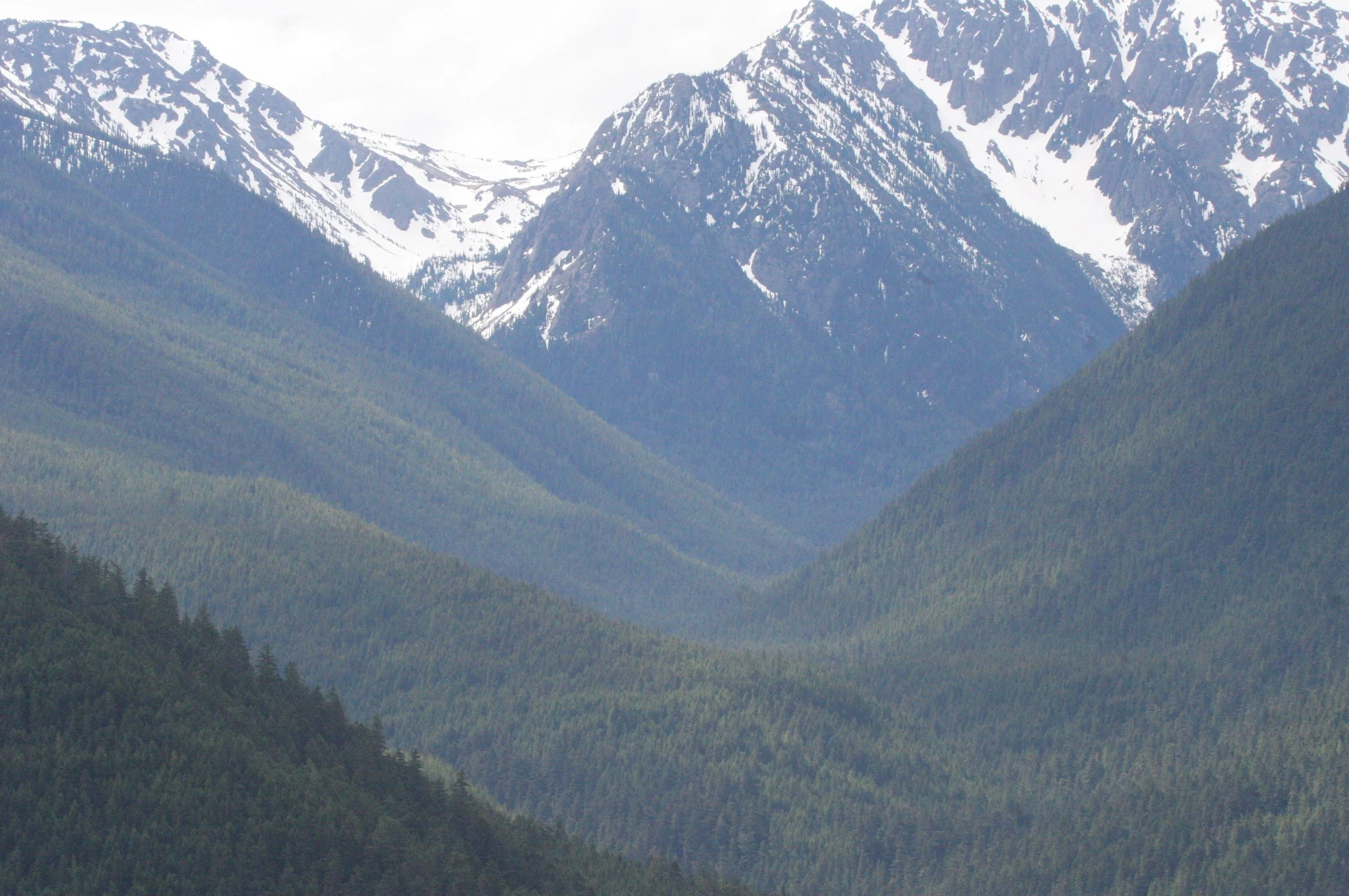 DUNGENESS RIVER WATERSHED - DUNGENESS TRAIL AND VIEWPOINTS (4).JPG