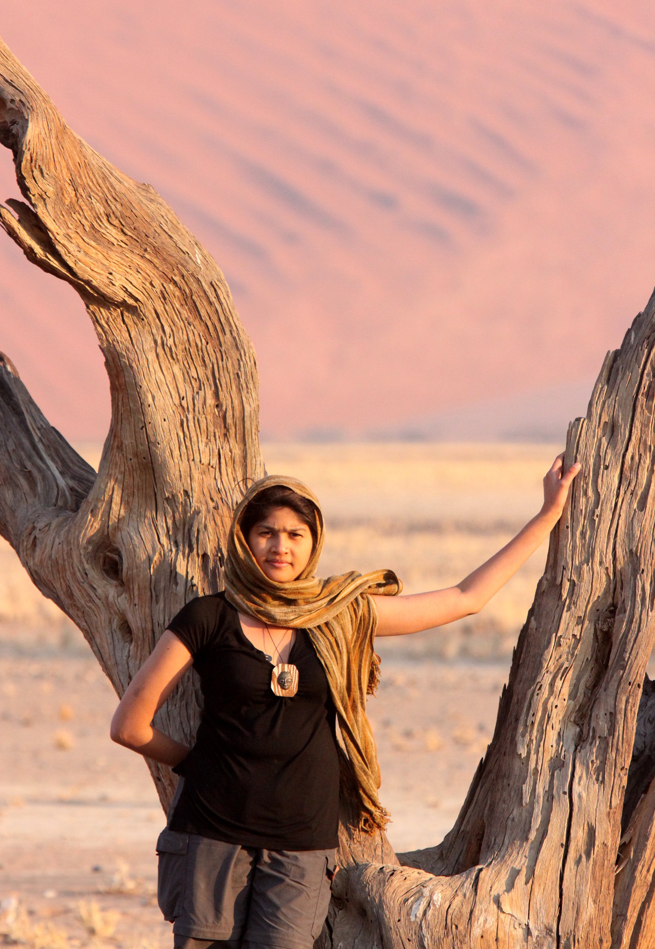 SOSSUSVLEI, NAMIB NAUKLUFT NATIONAL PARK, NAMIBIA - SESREIM VIEWS (4).JPG