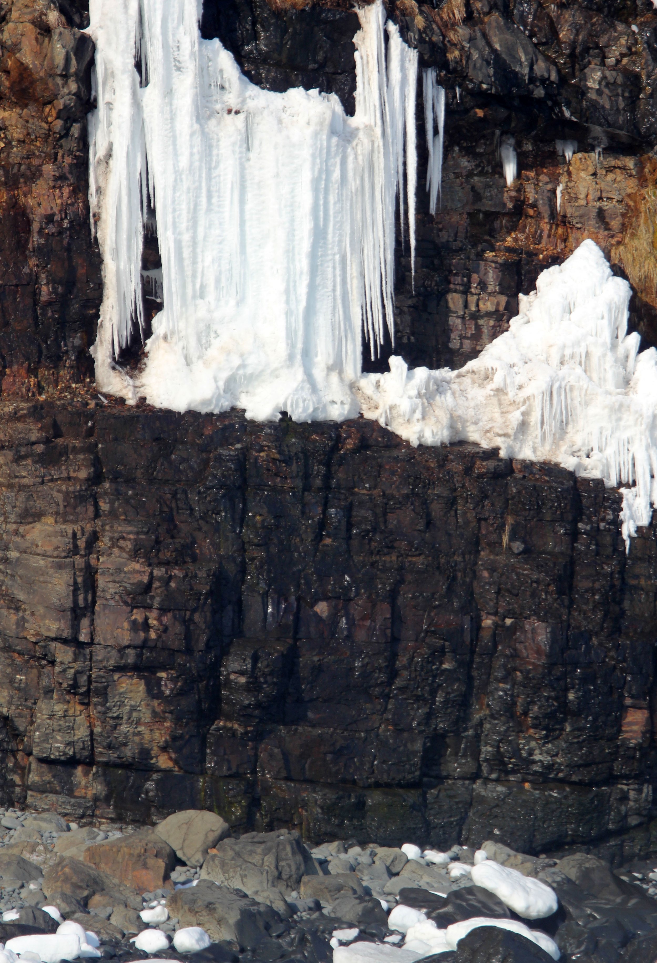 HANASAKI CAPE - NEMURO PENINSULA - HOKKAIDO JAPAN (4).JPG
