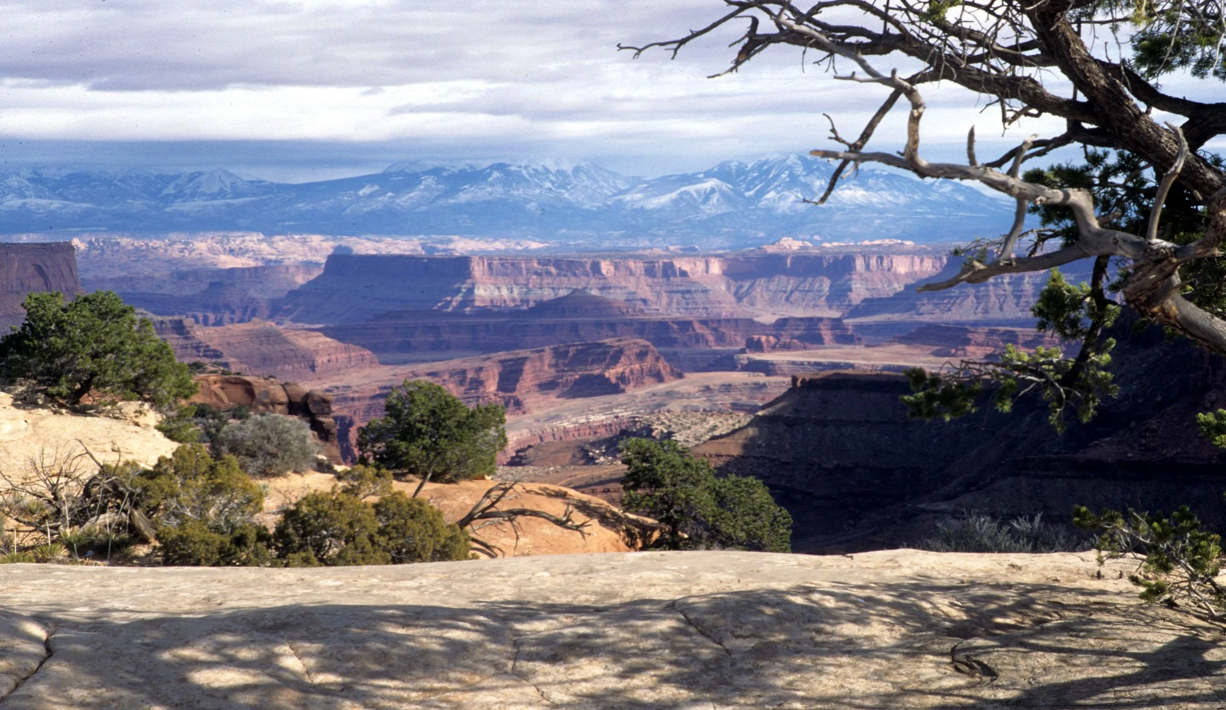 UTAH - CANYONLANDS NP VISTA.jpg