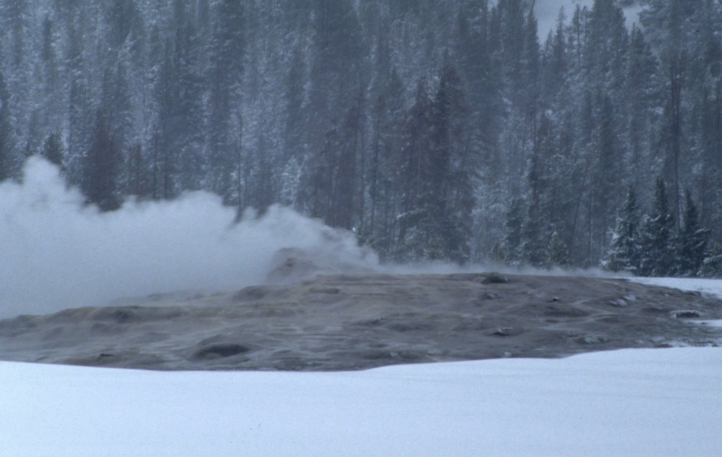 YELLOWSTONE IN WINTER - OLD FAITHFUL A.jpg